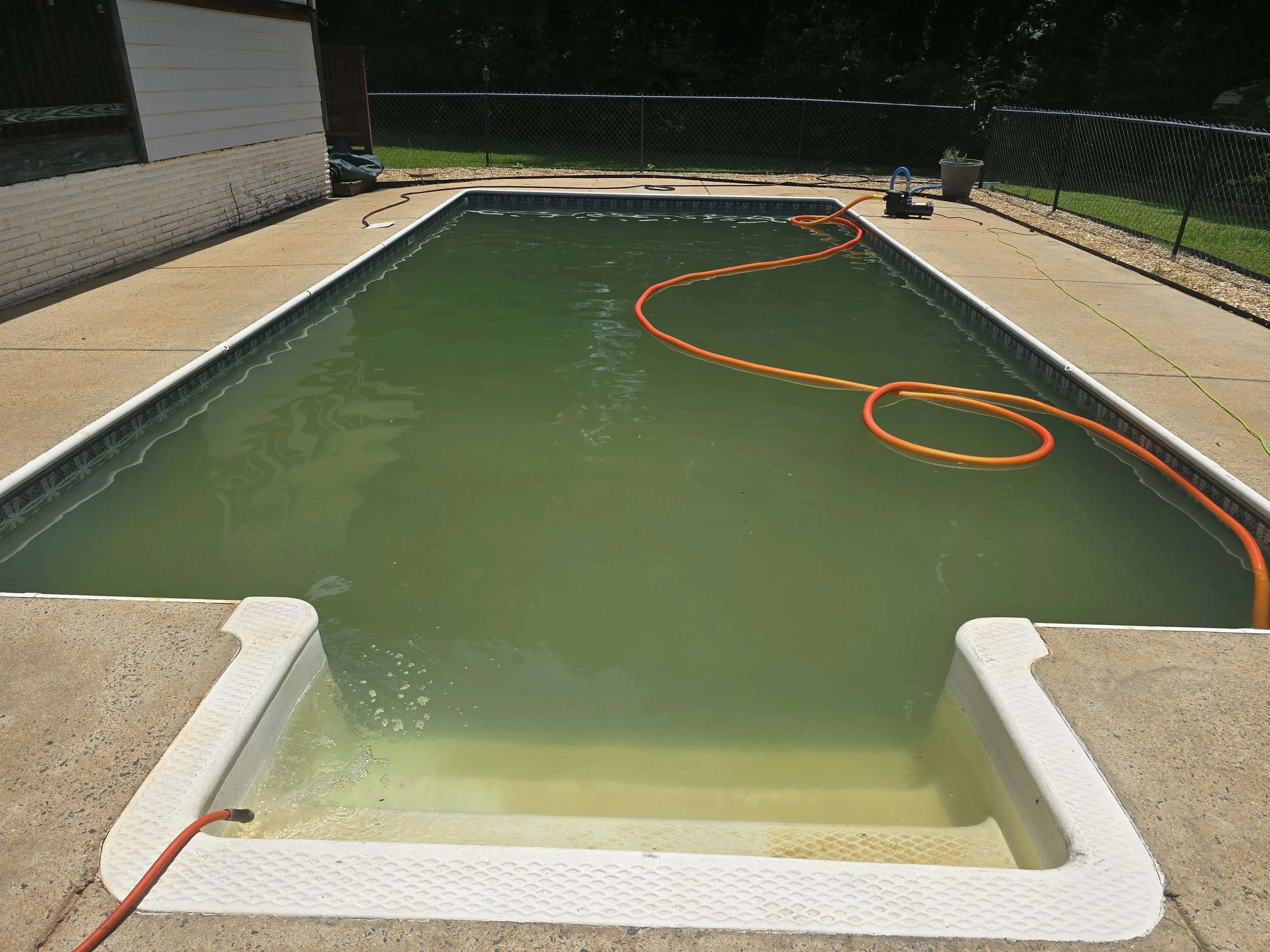 A backyard swimming pool filled with greenish water, before being serviced by AB Premium Aqua Solutions. The pool is surrounded by a concrete deck and enclosed by a black metal fence.