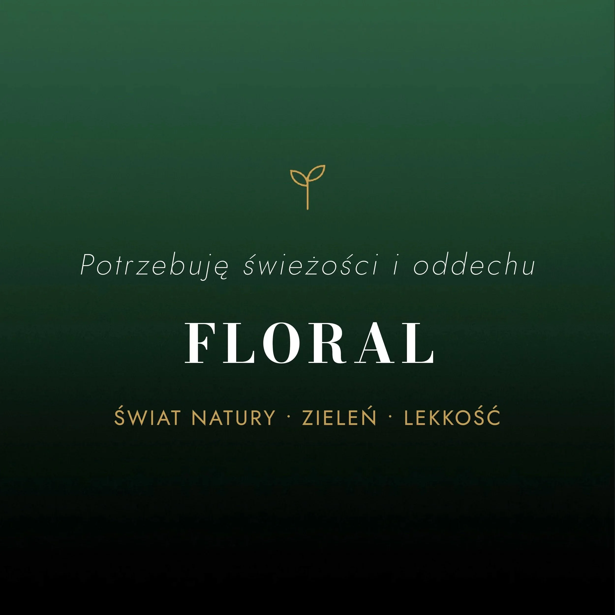 Nie wybieraj nazwy.
Wybierz nastrój
Zamknij oczy. Pomyśl, czego dziś potrzebujesz - a my poprowadzimy Cię do zapachu, który to odda.
Chcesz poczuć świeżość i oddech - OLEJKI FLORAL - świat natury, zieleń, lekkość.