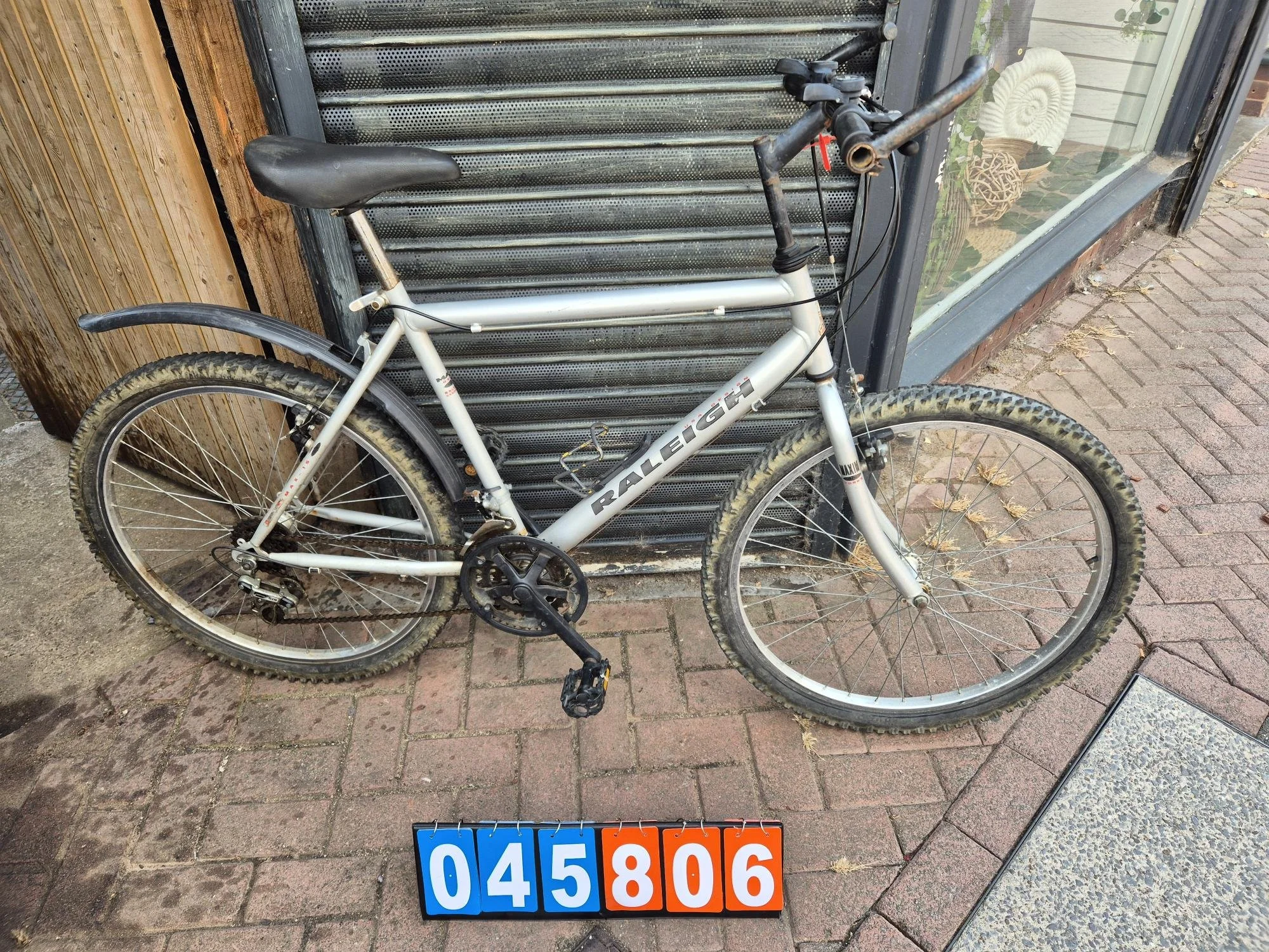 Raleigh - Silver, 20 " Frame