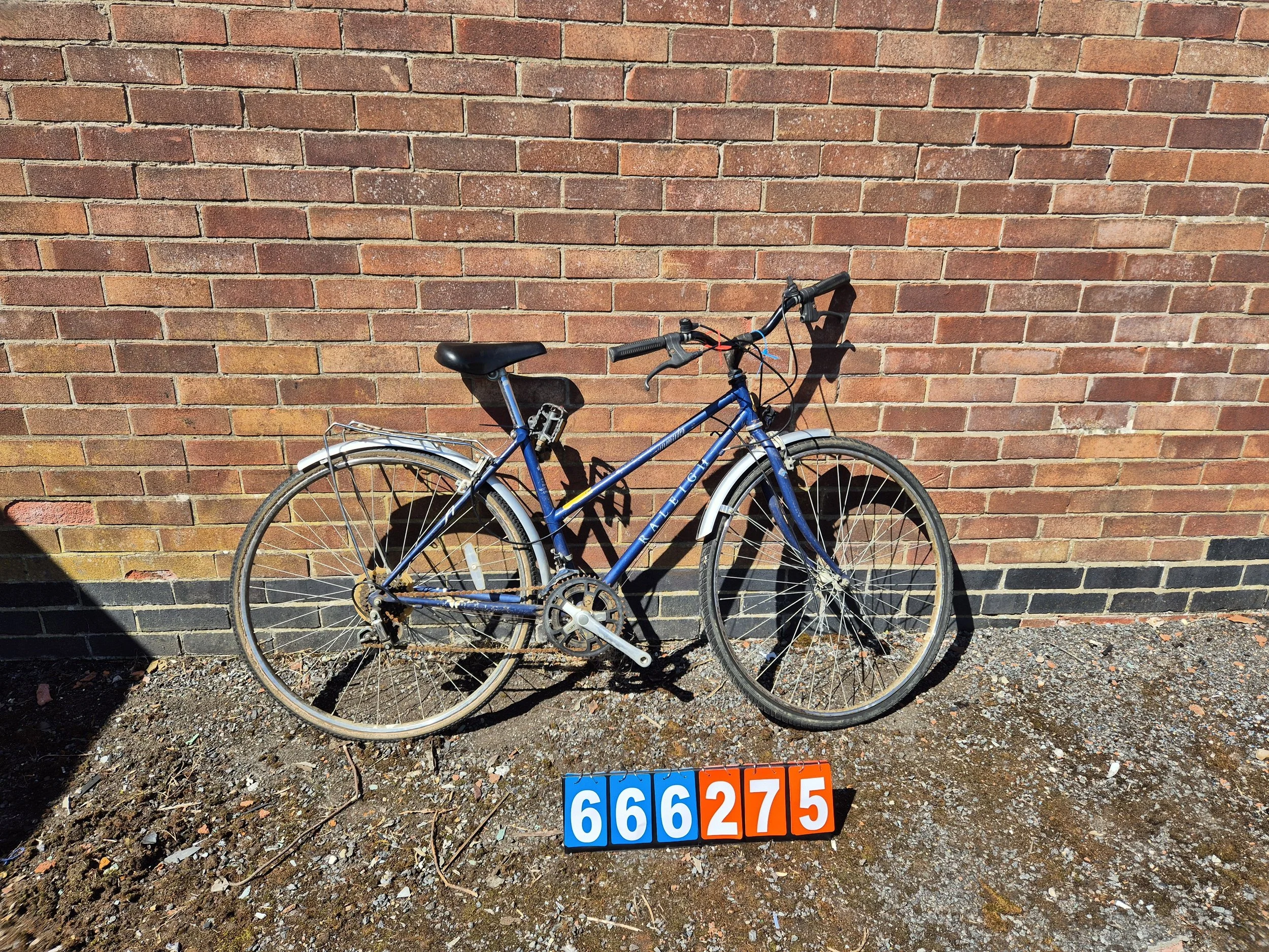Raleigh - Blue, 18.5" frame