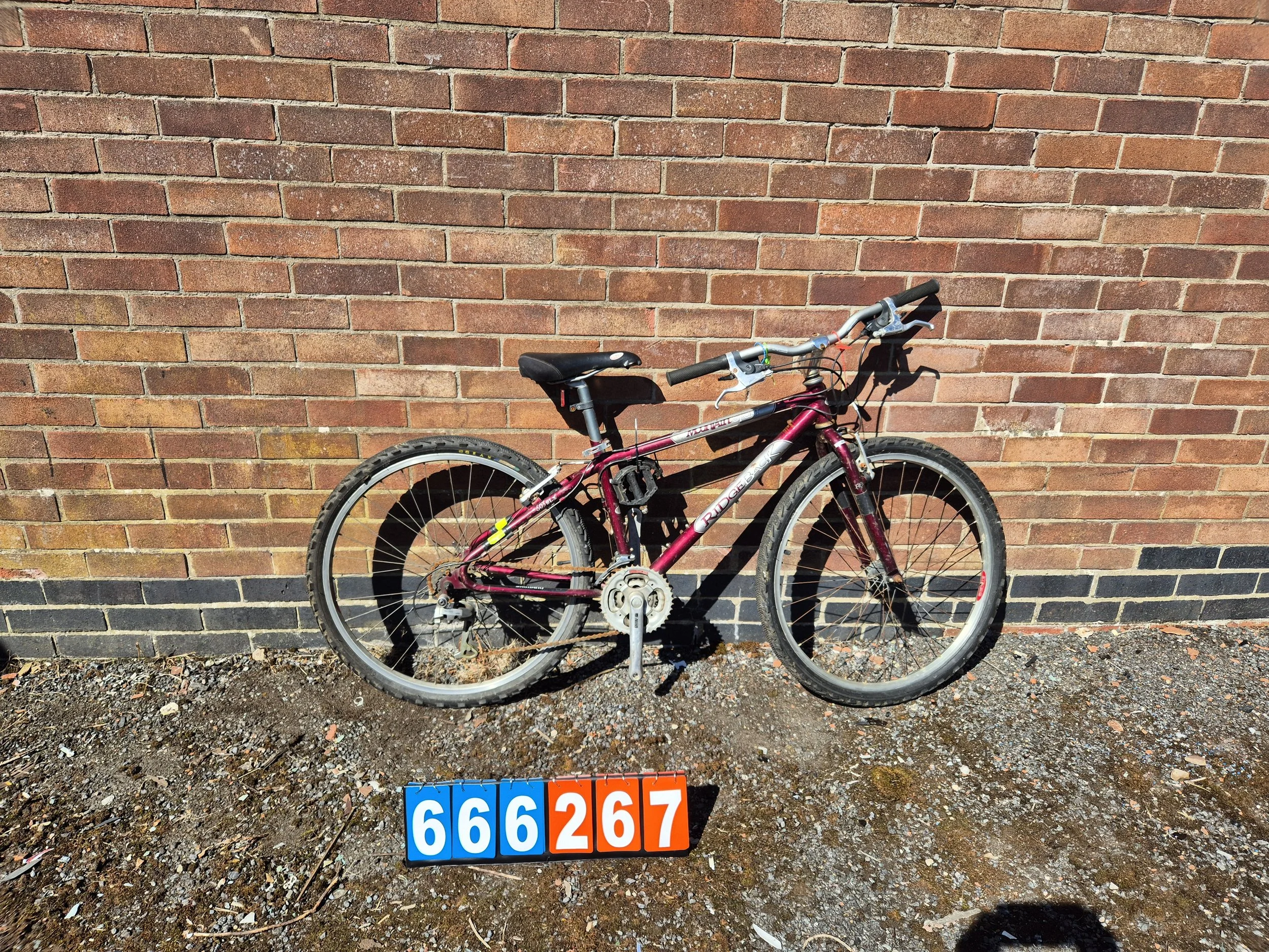 Mountain Sport Ridgeback - Burgundy, 15" frame