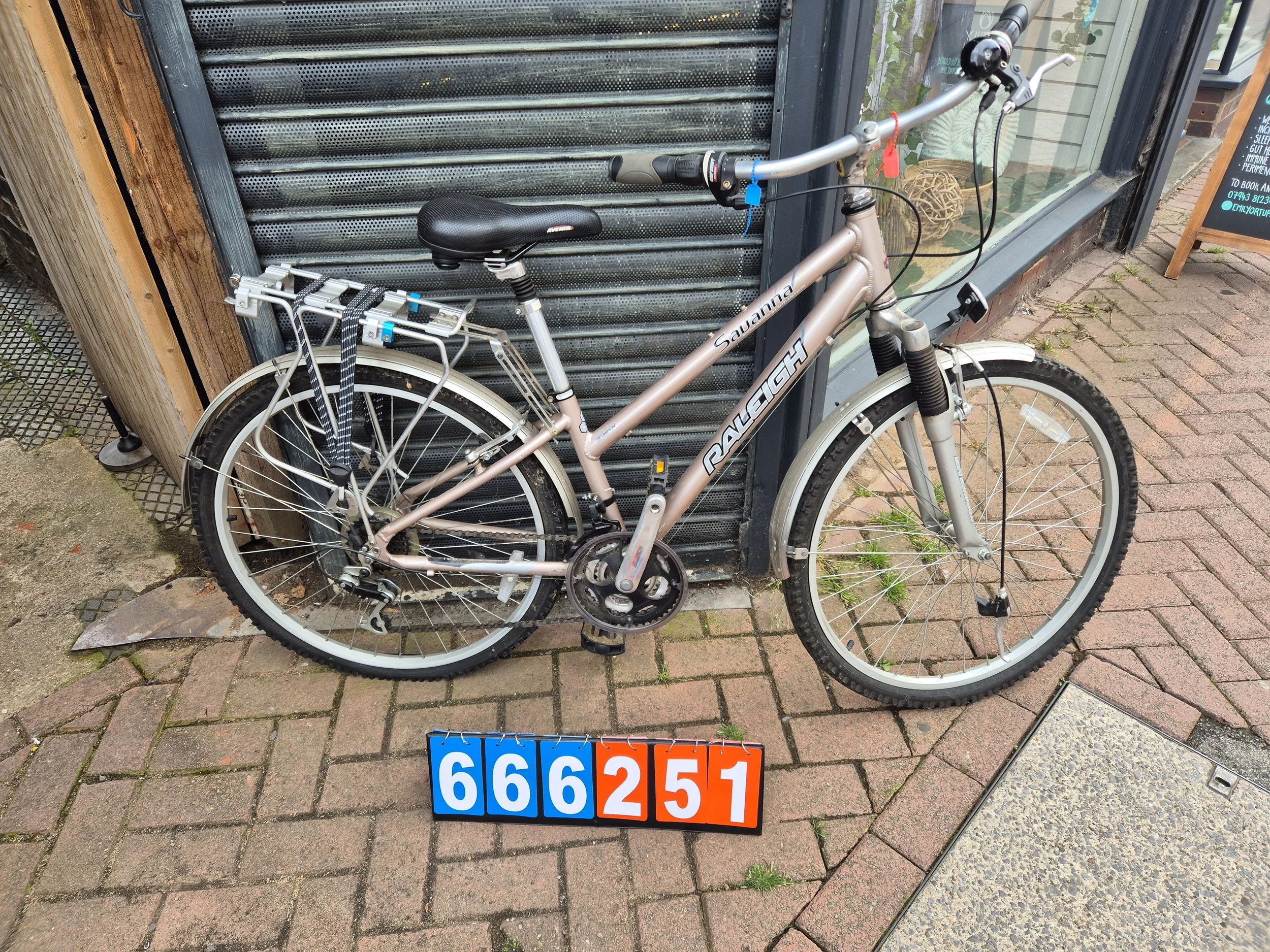 Raleigh  Sauna - Gold, 19.5" frame