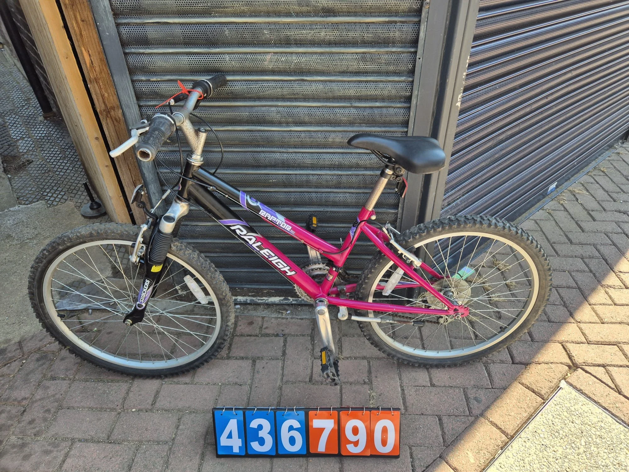 Raleigh - Pink, 13.5" Frame