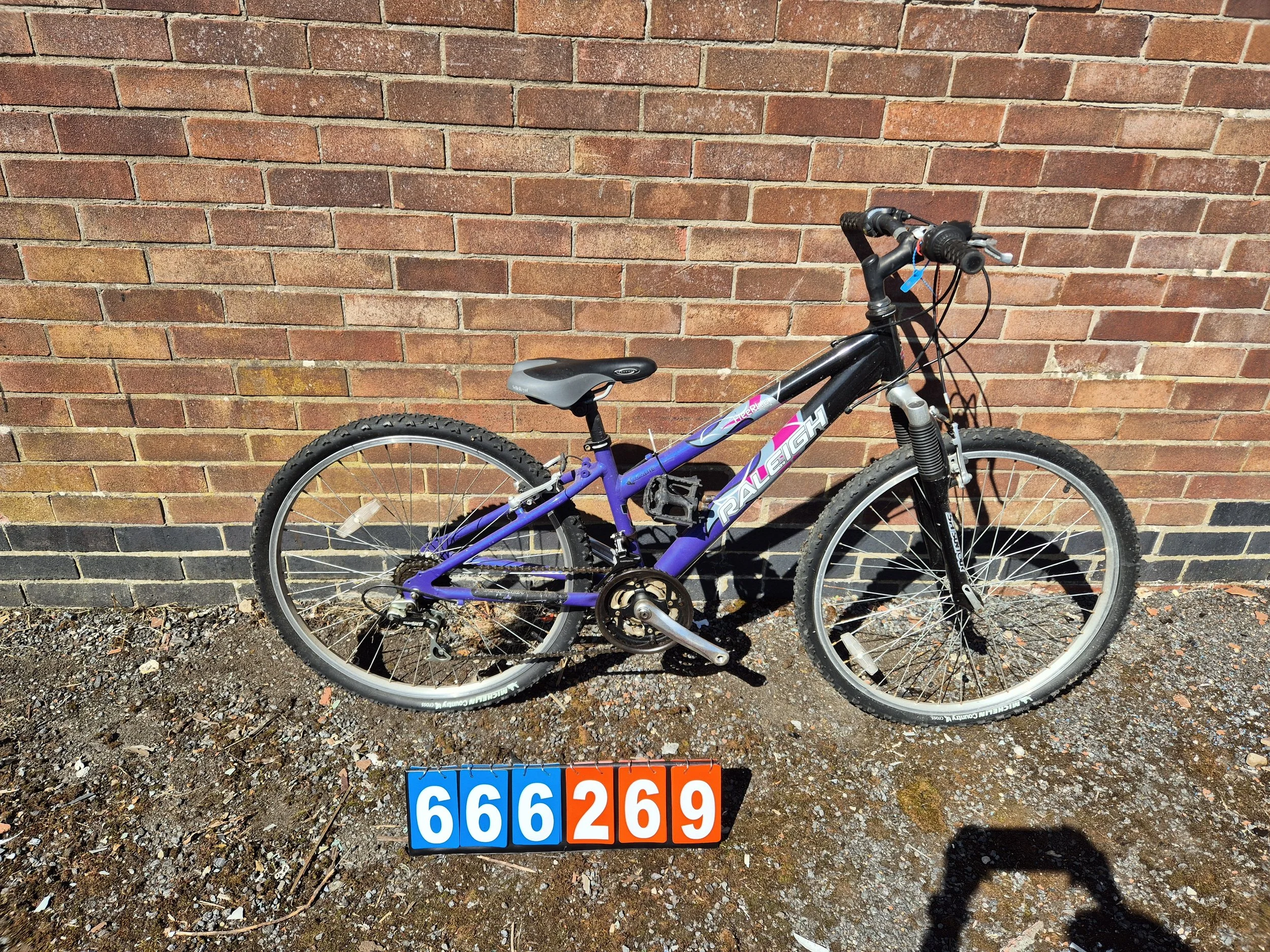 Raleigh - Purple, 13.5" frame