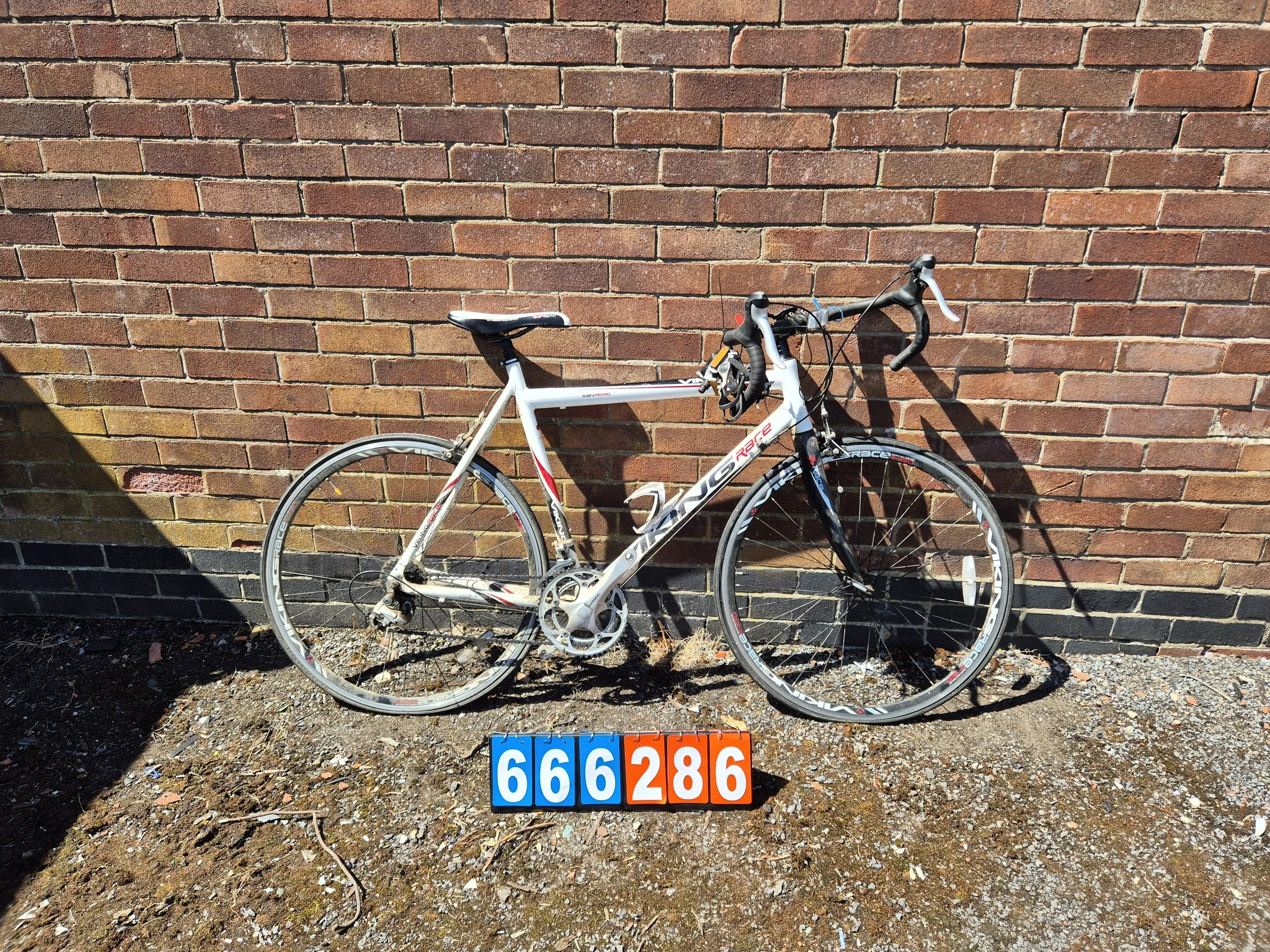 San Remo Viking Race - White, 23.5" frame