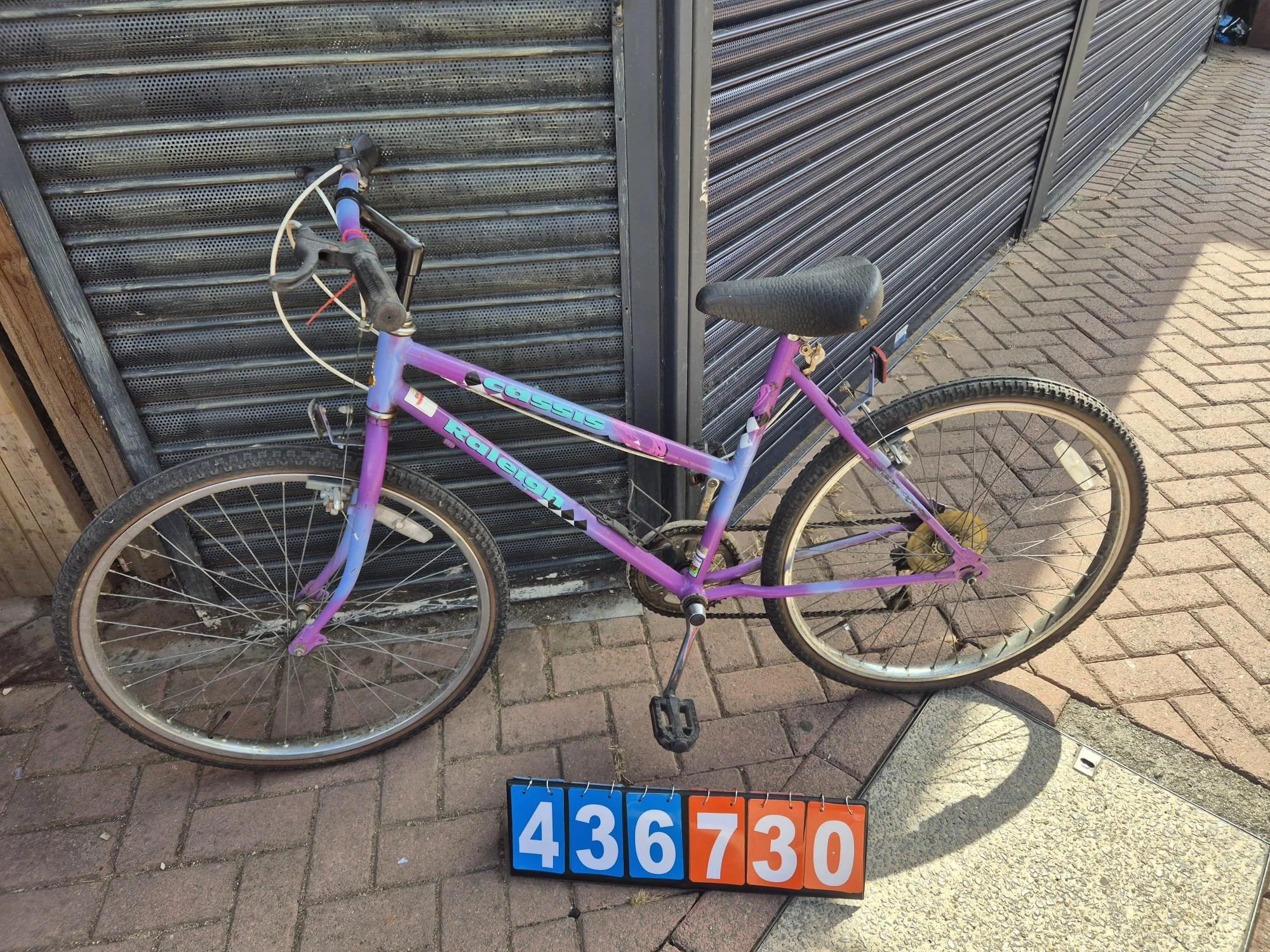 Raleigh Cassis - Lilac, 18" Frame