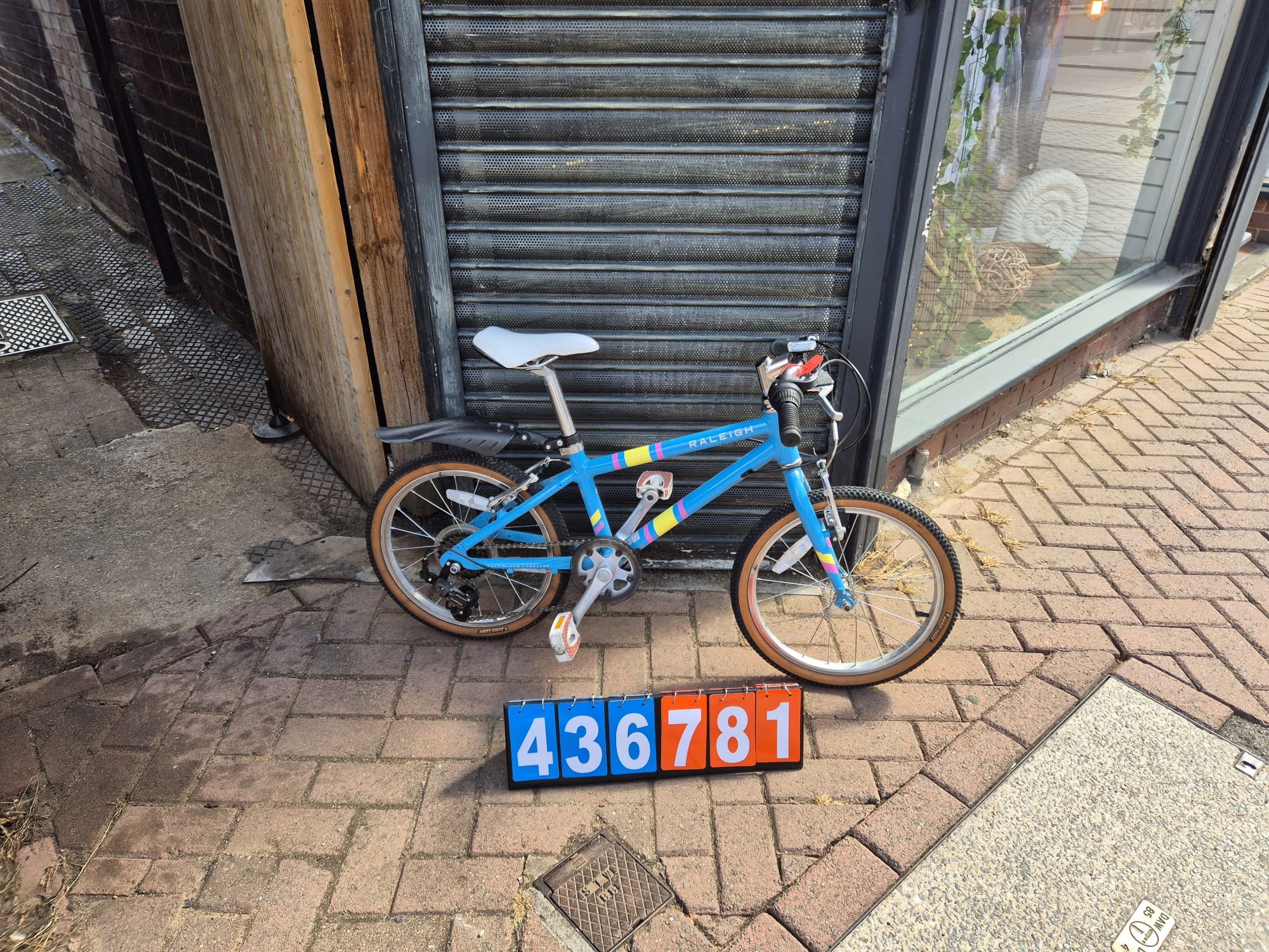 Raleigh - Blue, 10.5" Frame