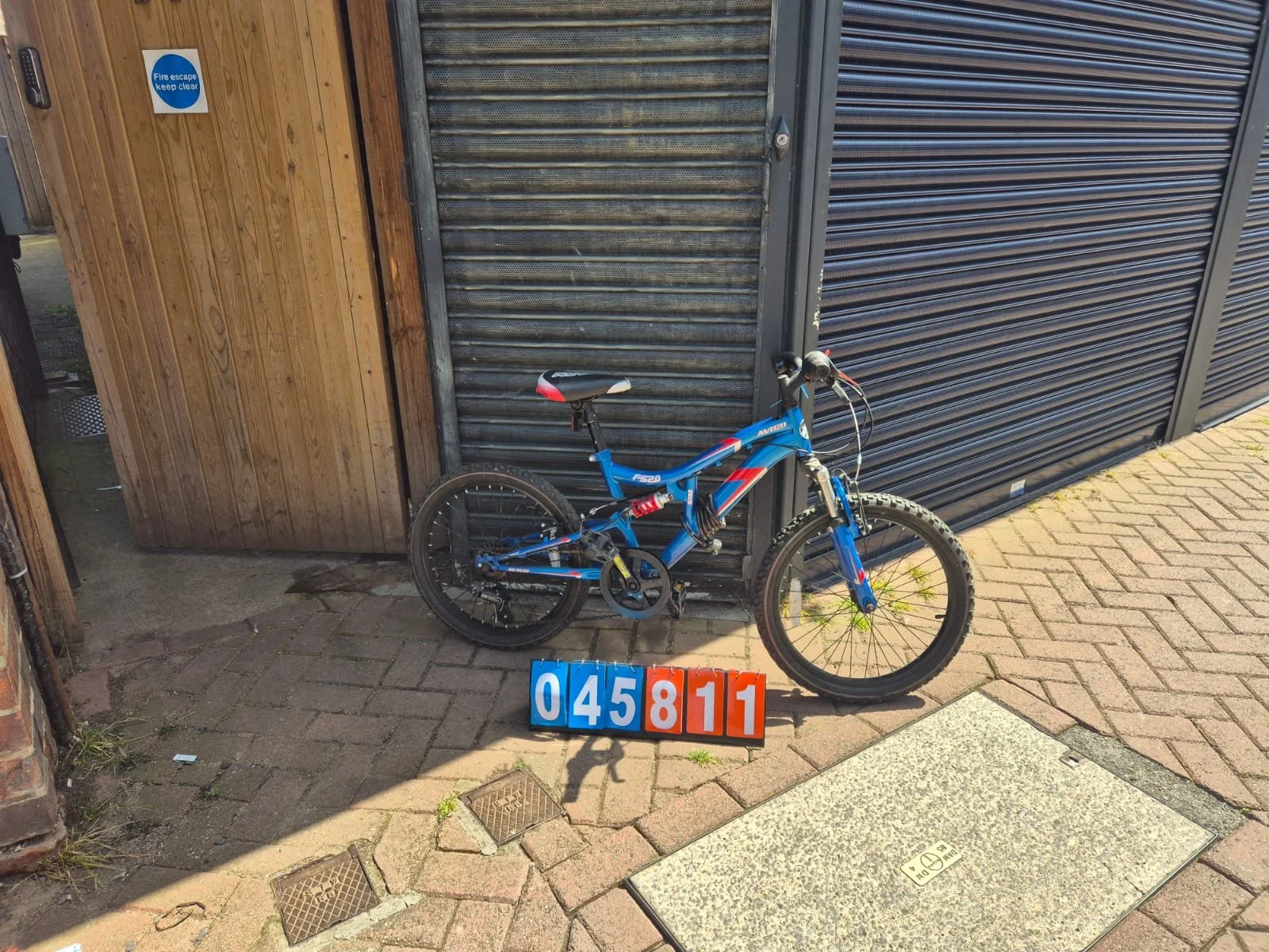 Avigo - Blue, 13" Frame