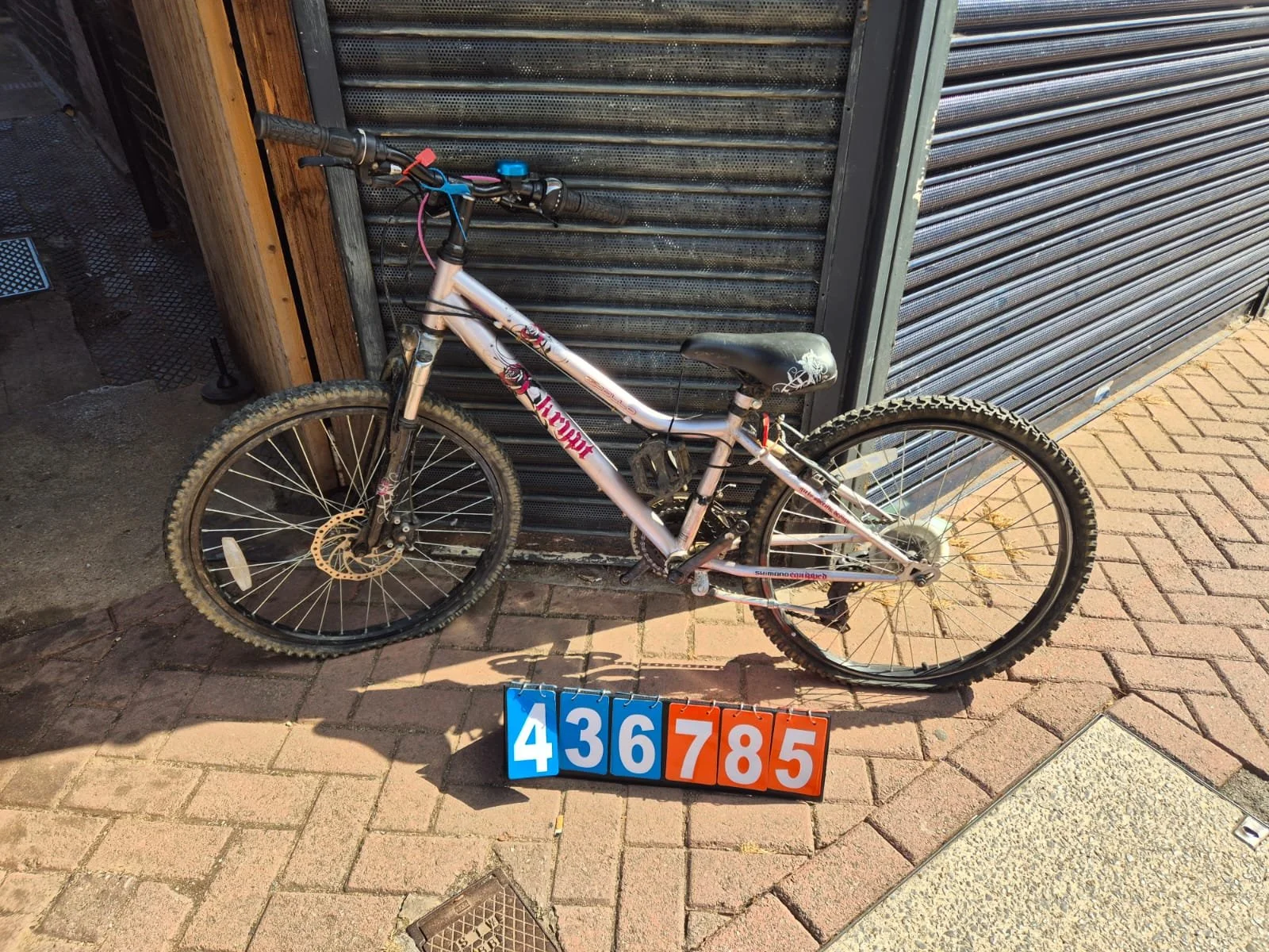 Apollo Krypt - Silver, 12.5" Frame