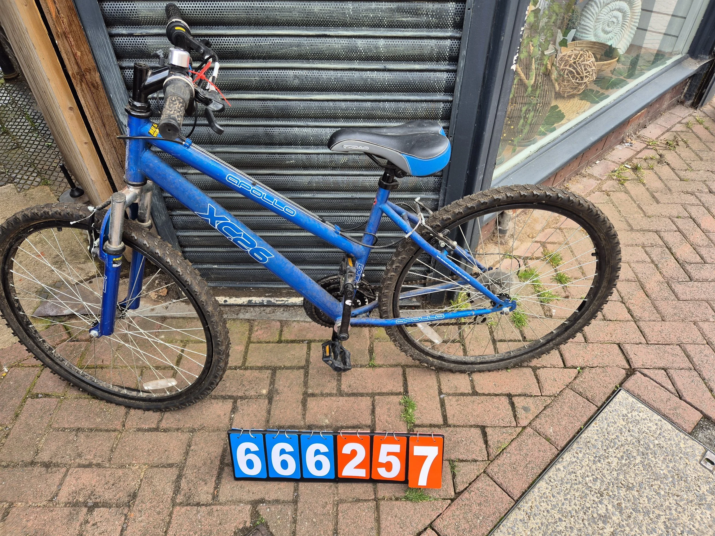 Apollo - Blue, 17.5" frame