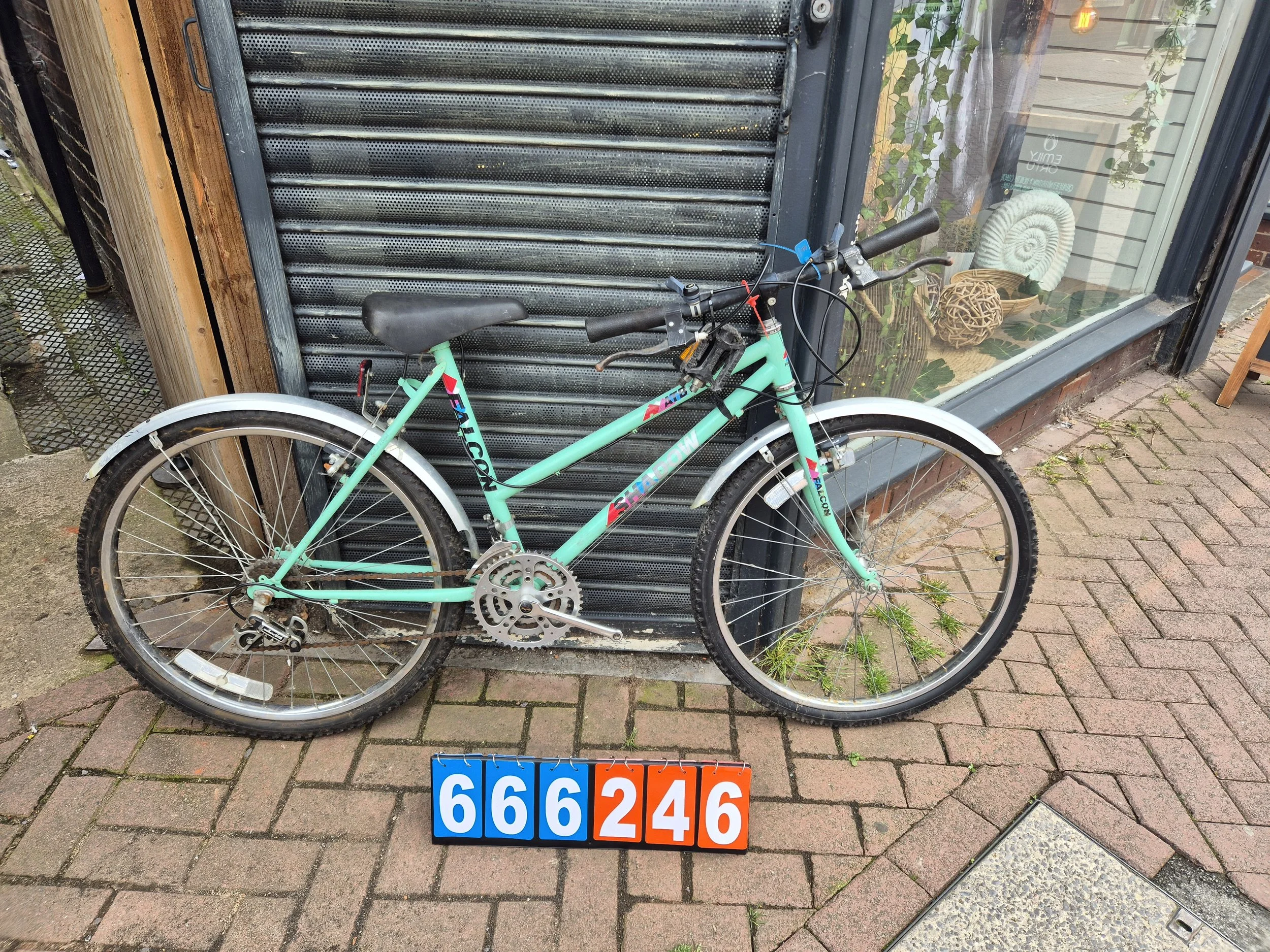 Falcon - Mint, 19.5" frame