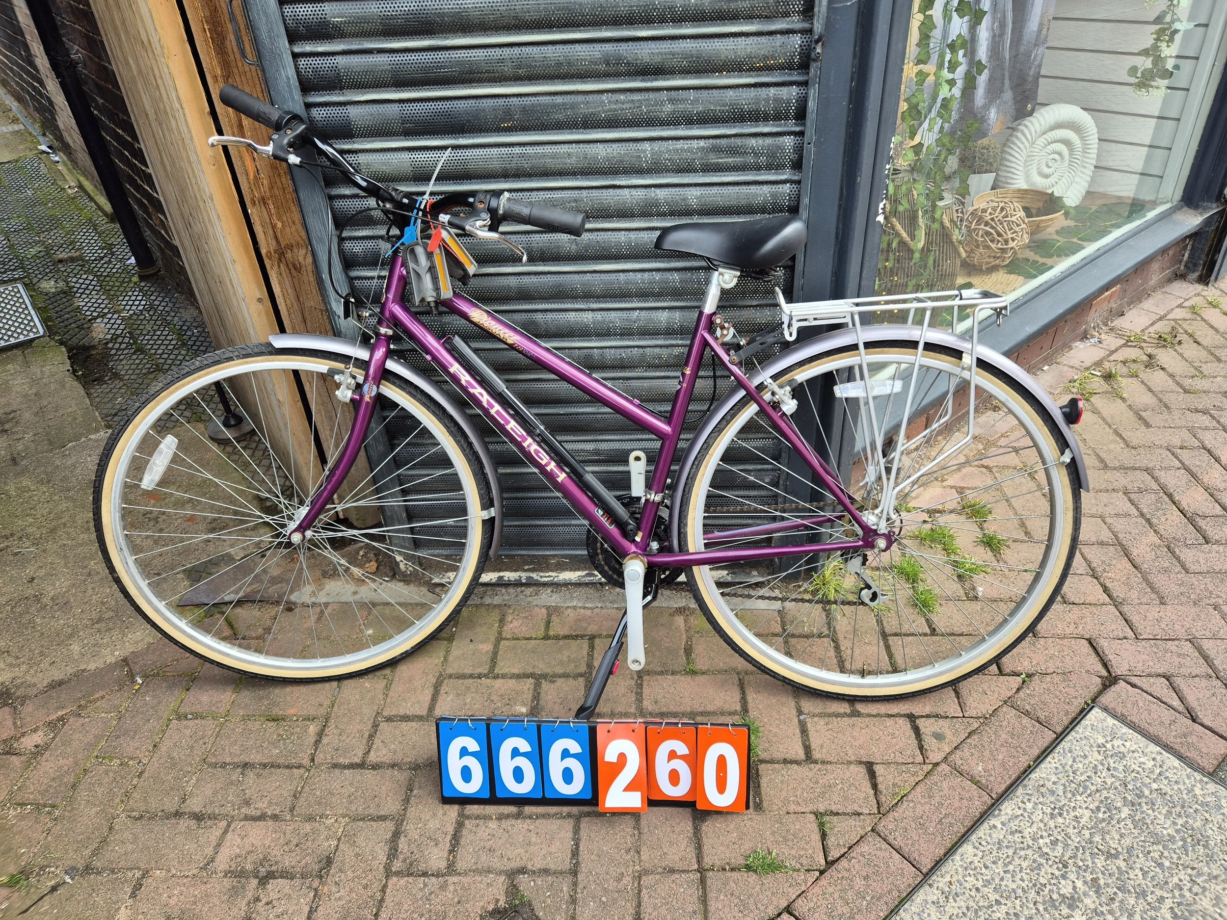 Raleigh - Burgundy, 19" frame