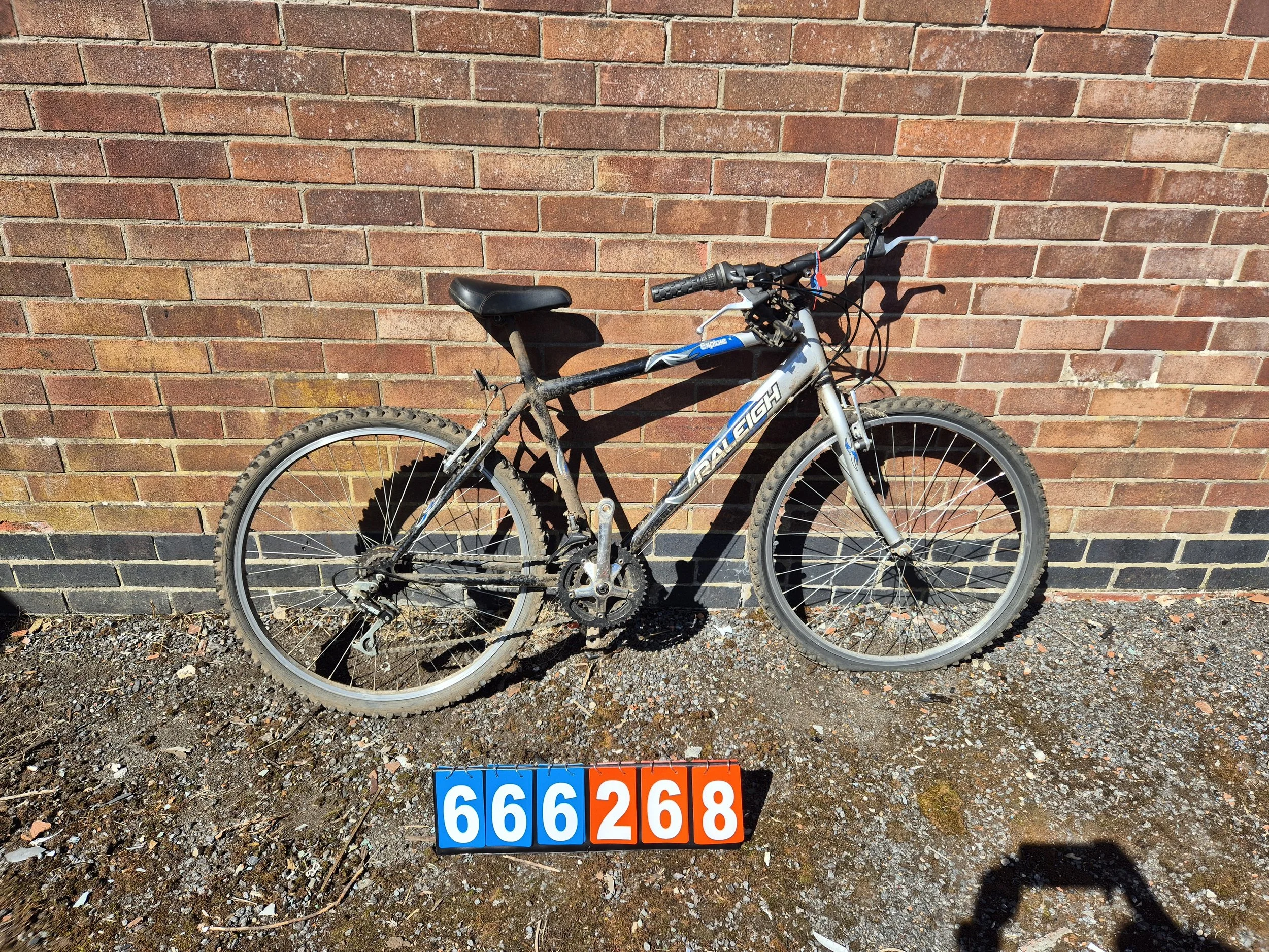 Raleigh - Blue / Silver, 18" frame