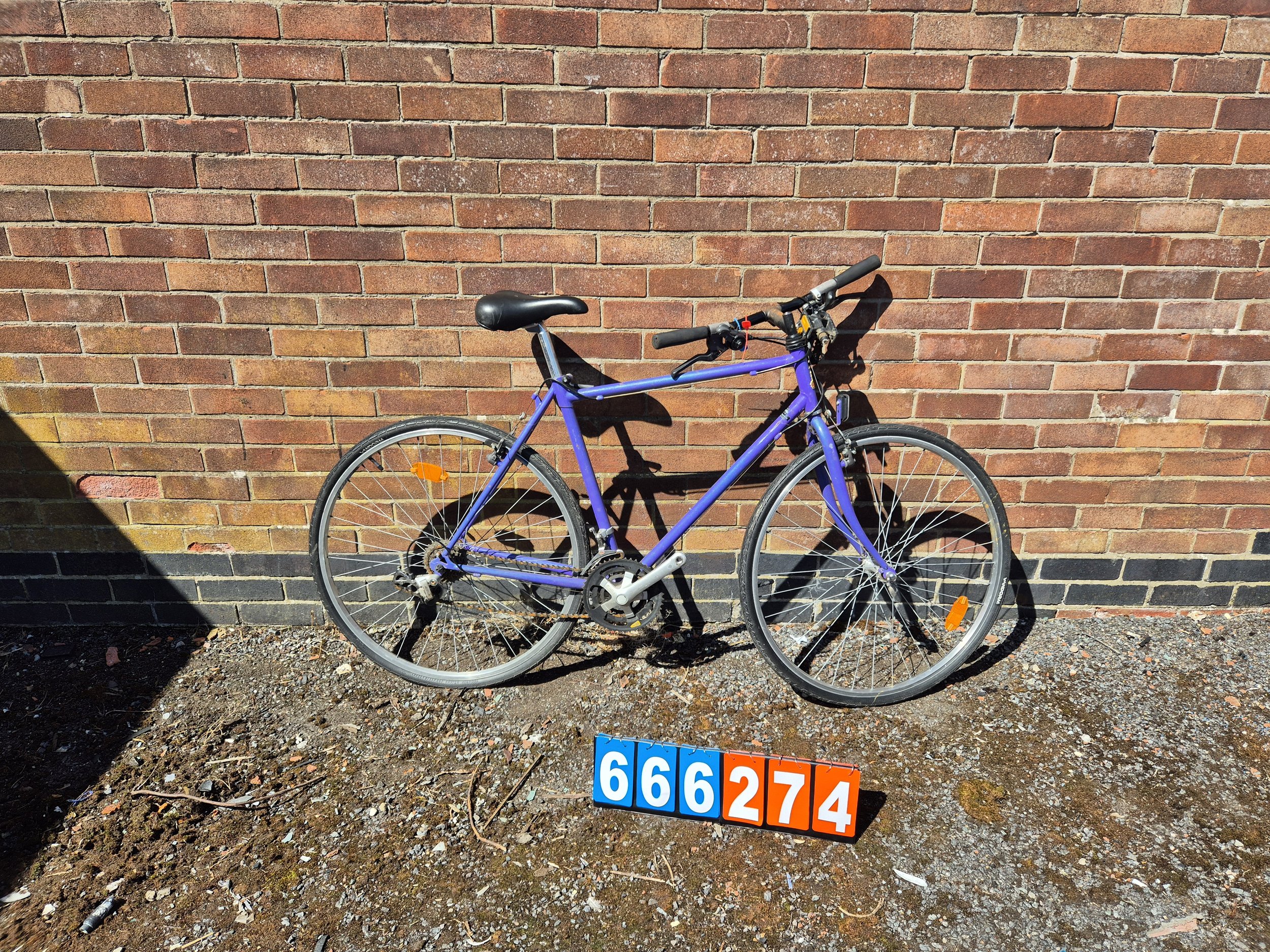 no name - Purple, 21" frame