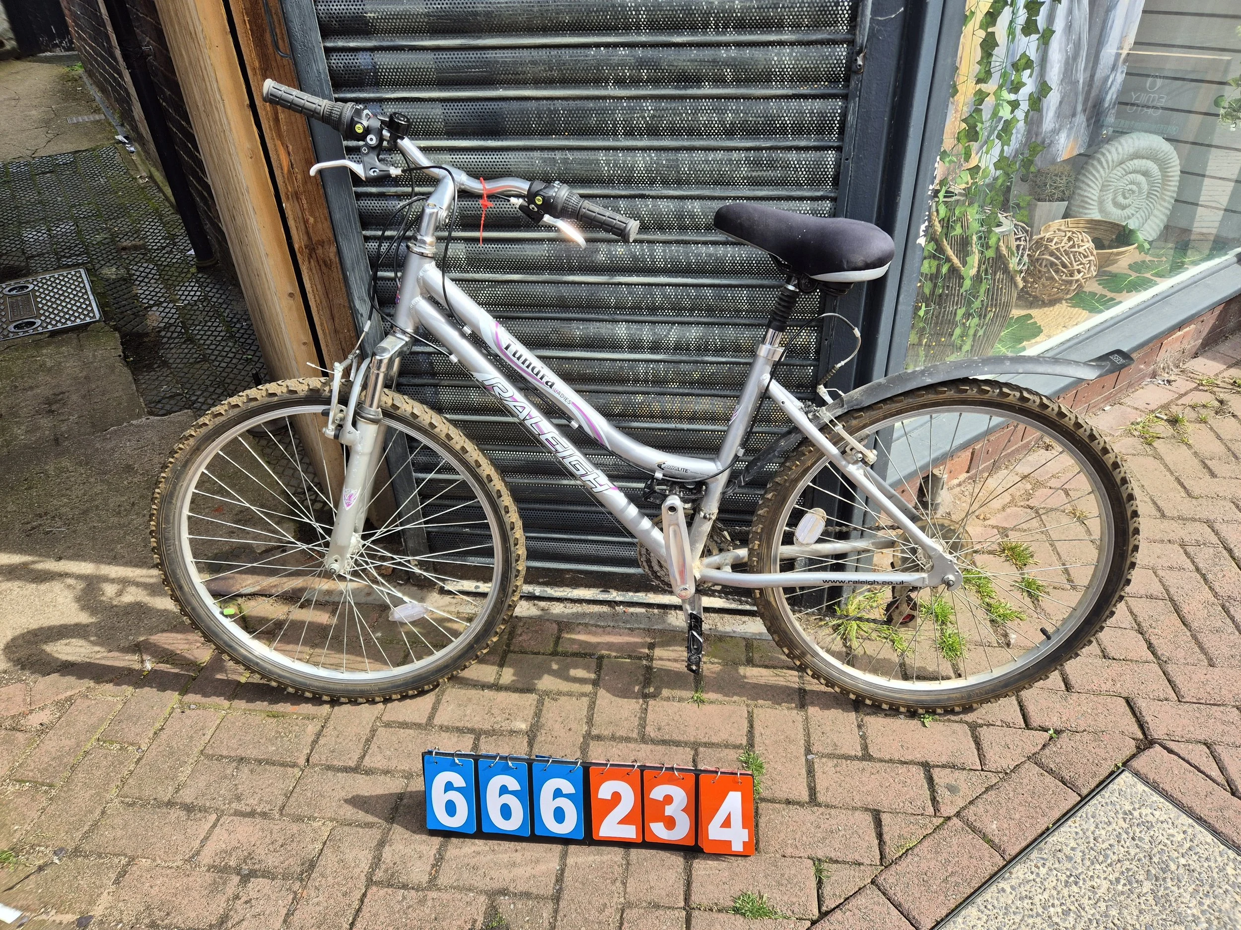 Raleigh  Tundra -  Silver, 17.5" Frame