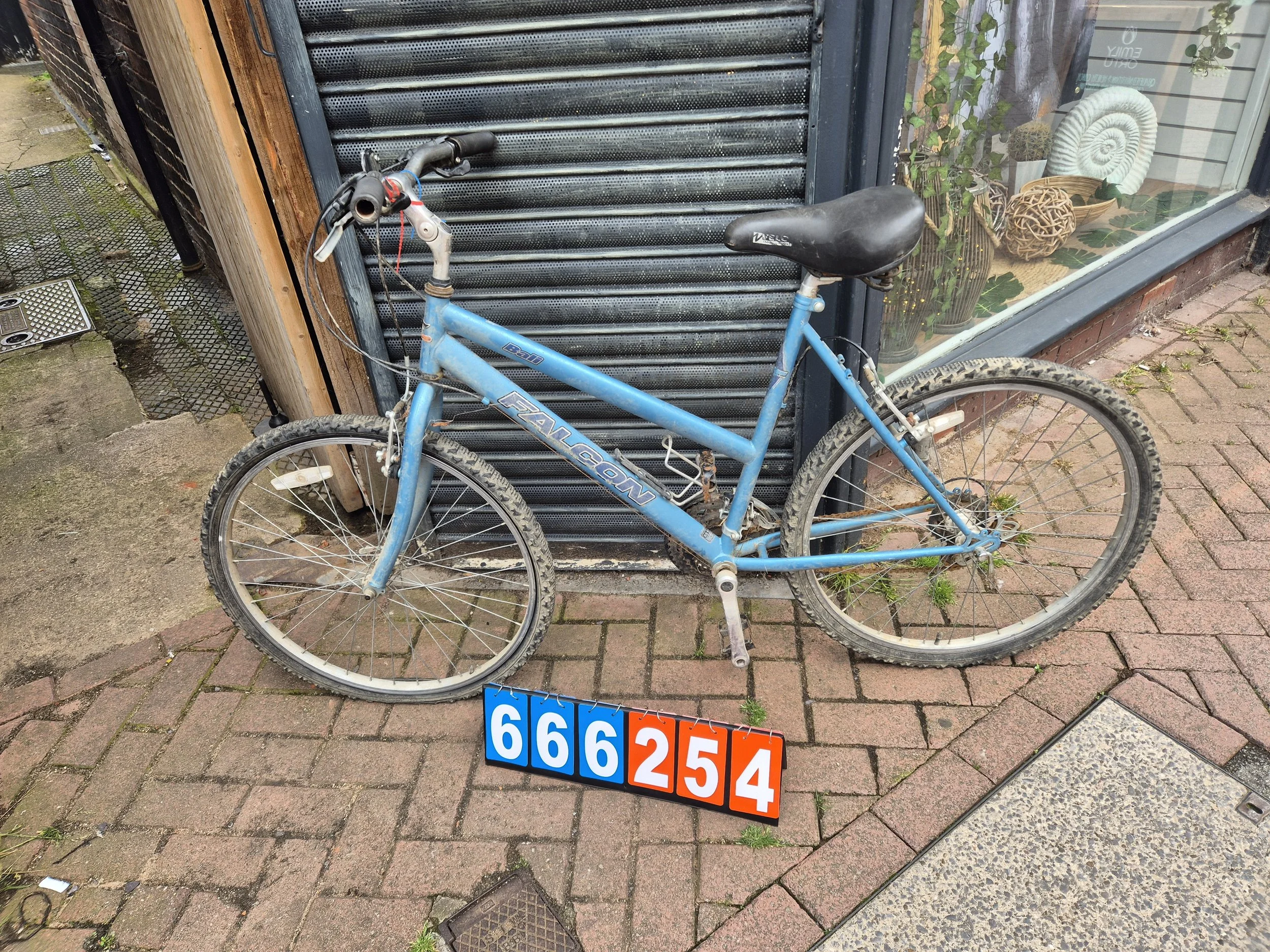 Falcon - Blue, 20" frame