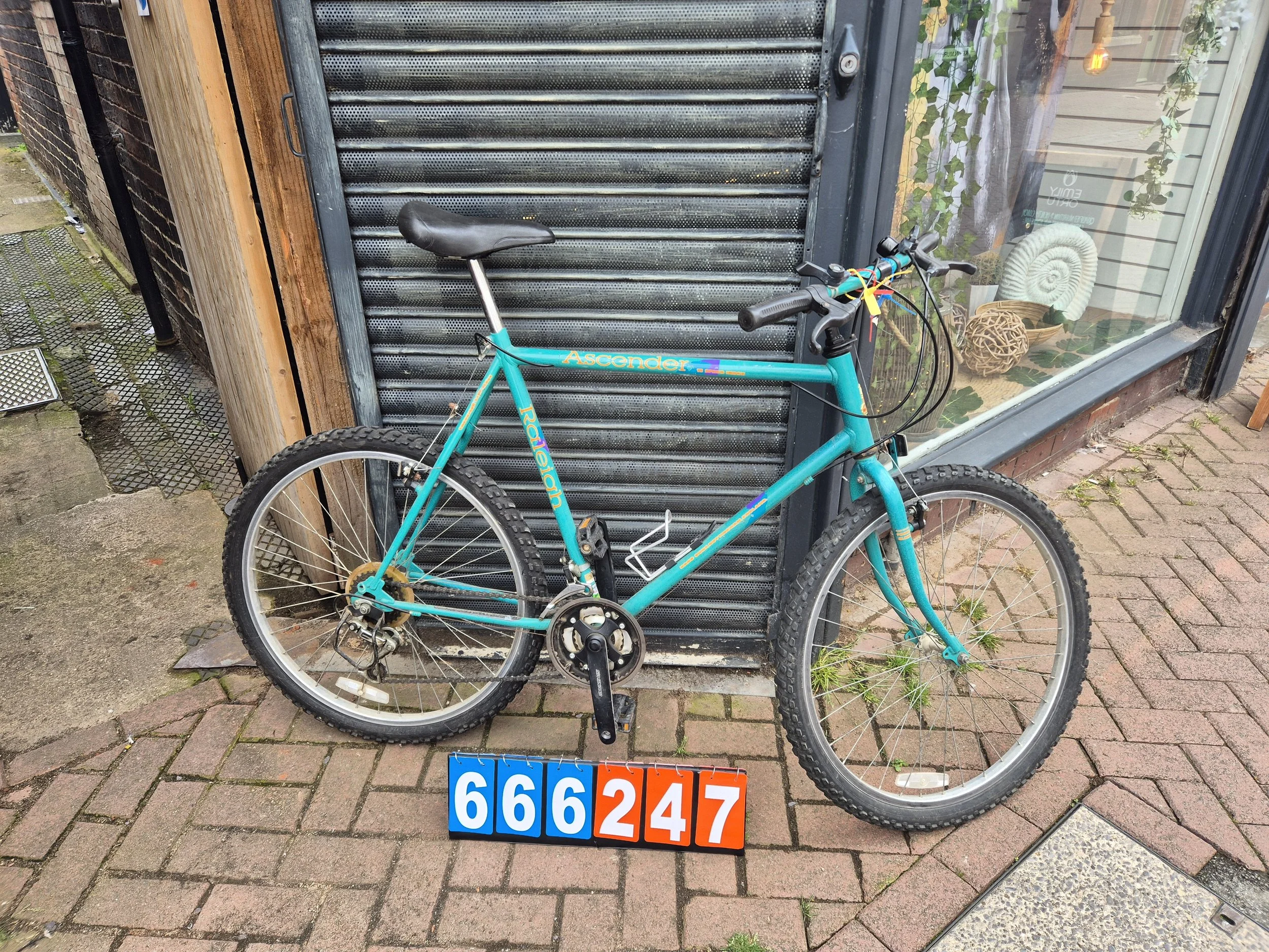 Raleigh  Ascender -Turquoise, 23" frame