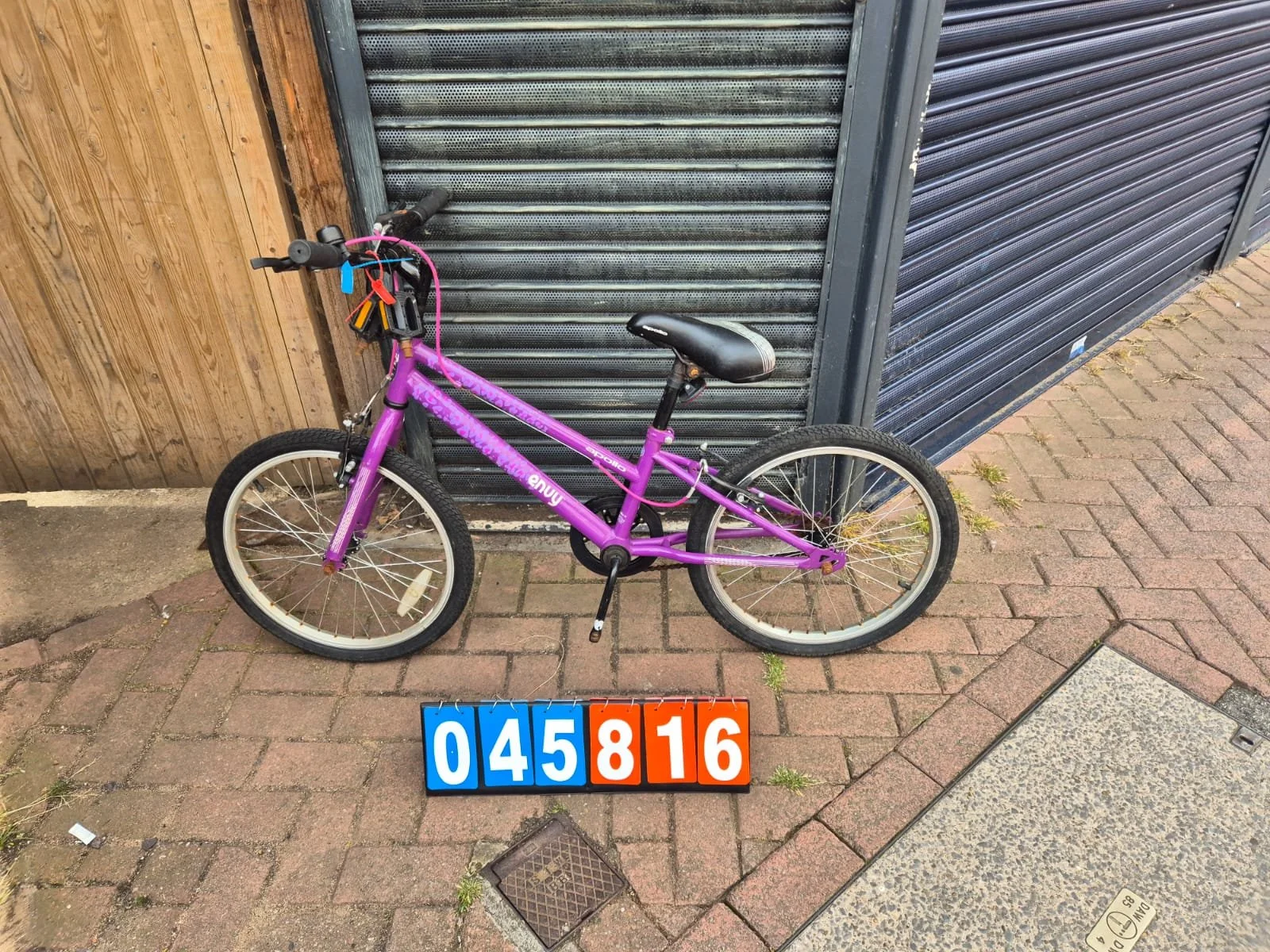 Apollo  Envy - Purple, 10" Frame