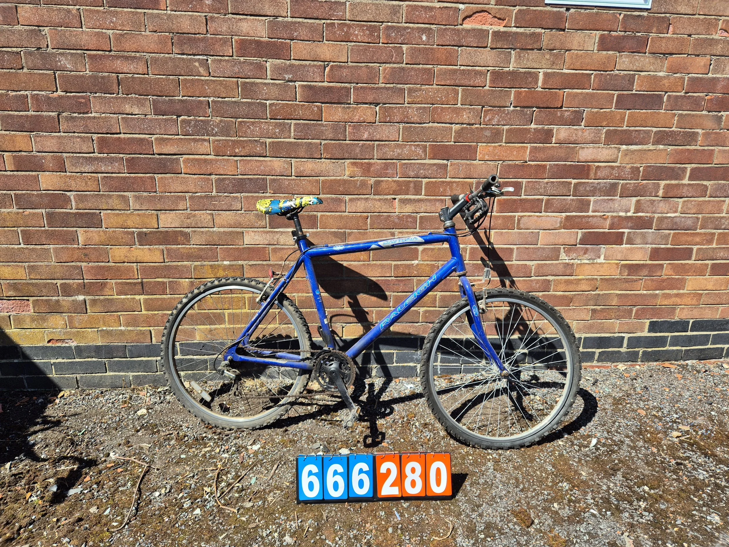Raleigh - Blue, 22" frame