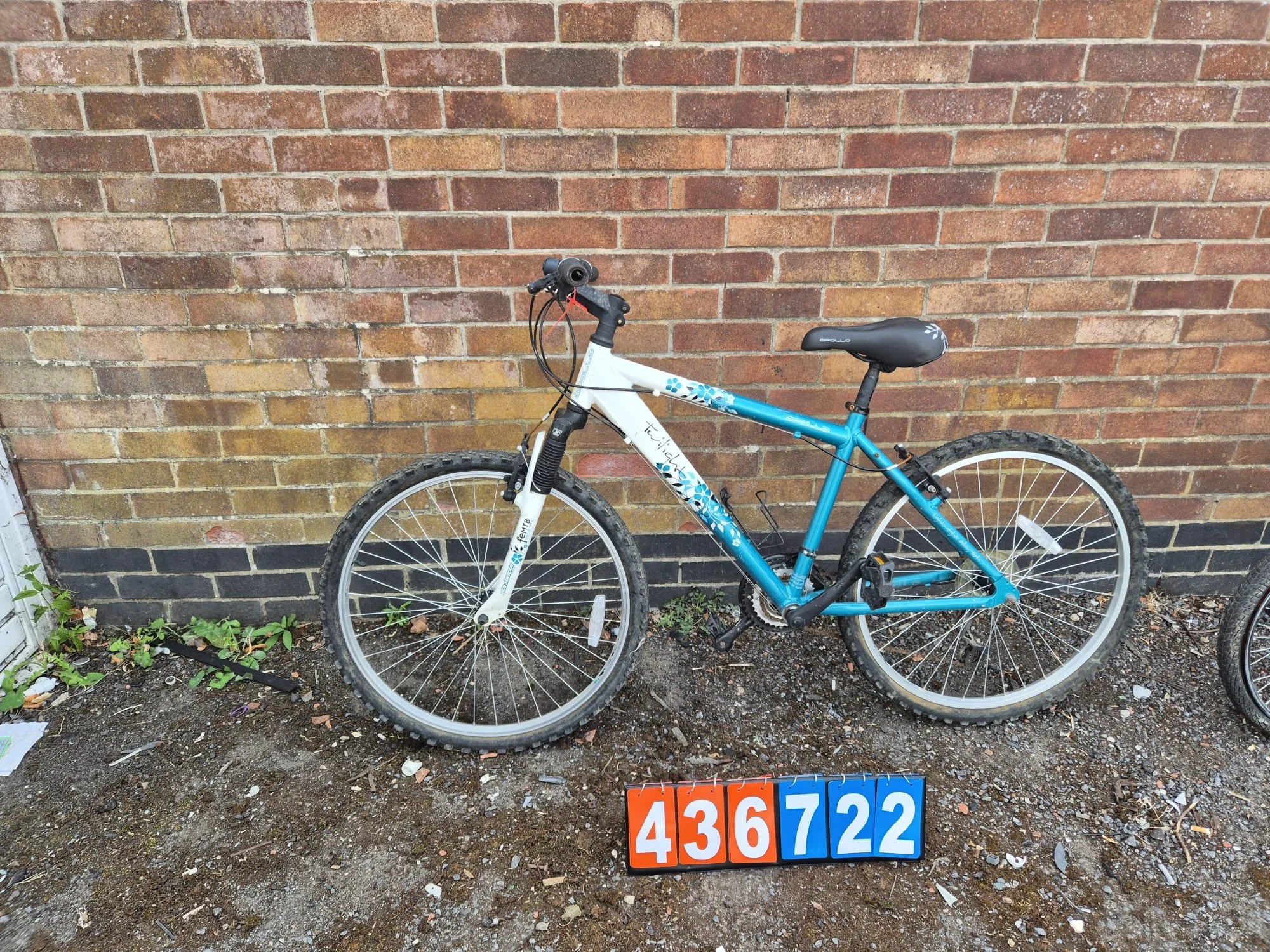 Apollo Twilight - Blue/Green, 17.5 " Frame