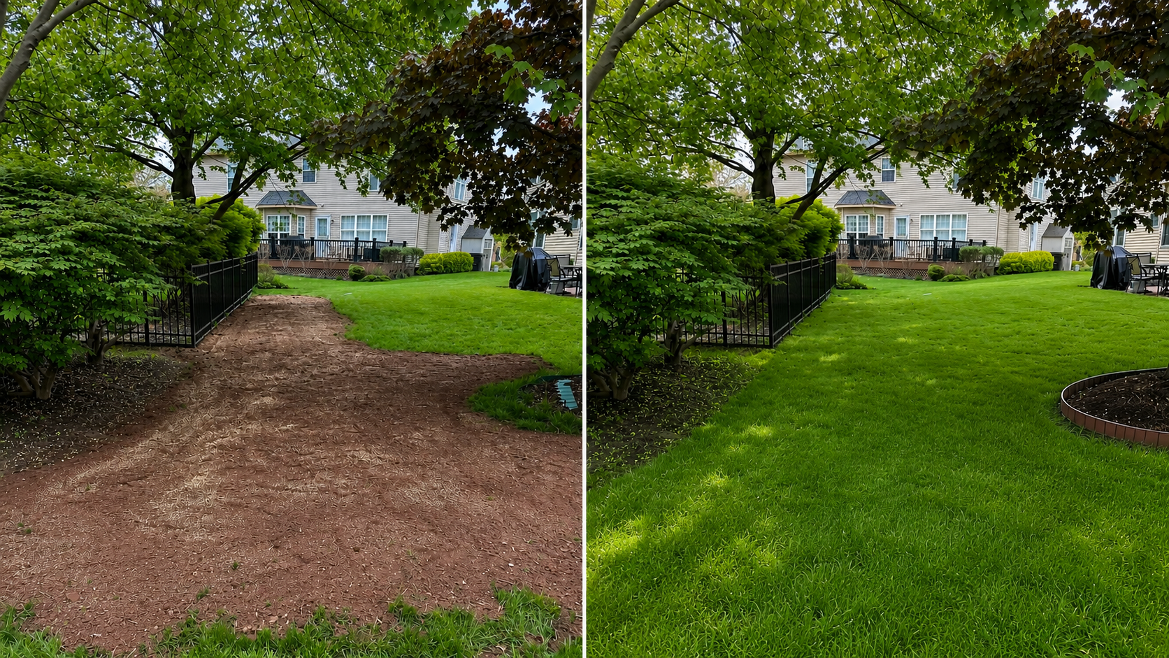 Comparison of a backyard before and after landscaping: left side shows a dirt pathway with sparse grass, while the right side shows a lush green lawn with small garden bed.