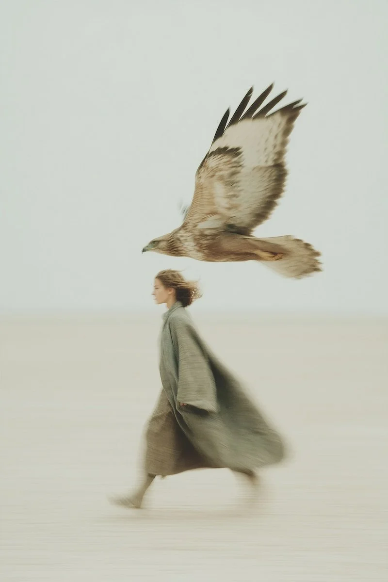 A person walking on a white, desolate landscape with a large hawk flying above their head.