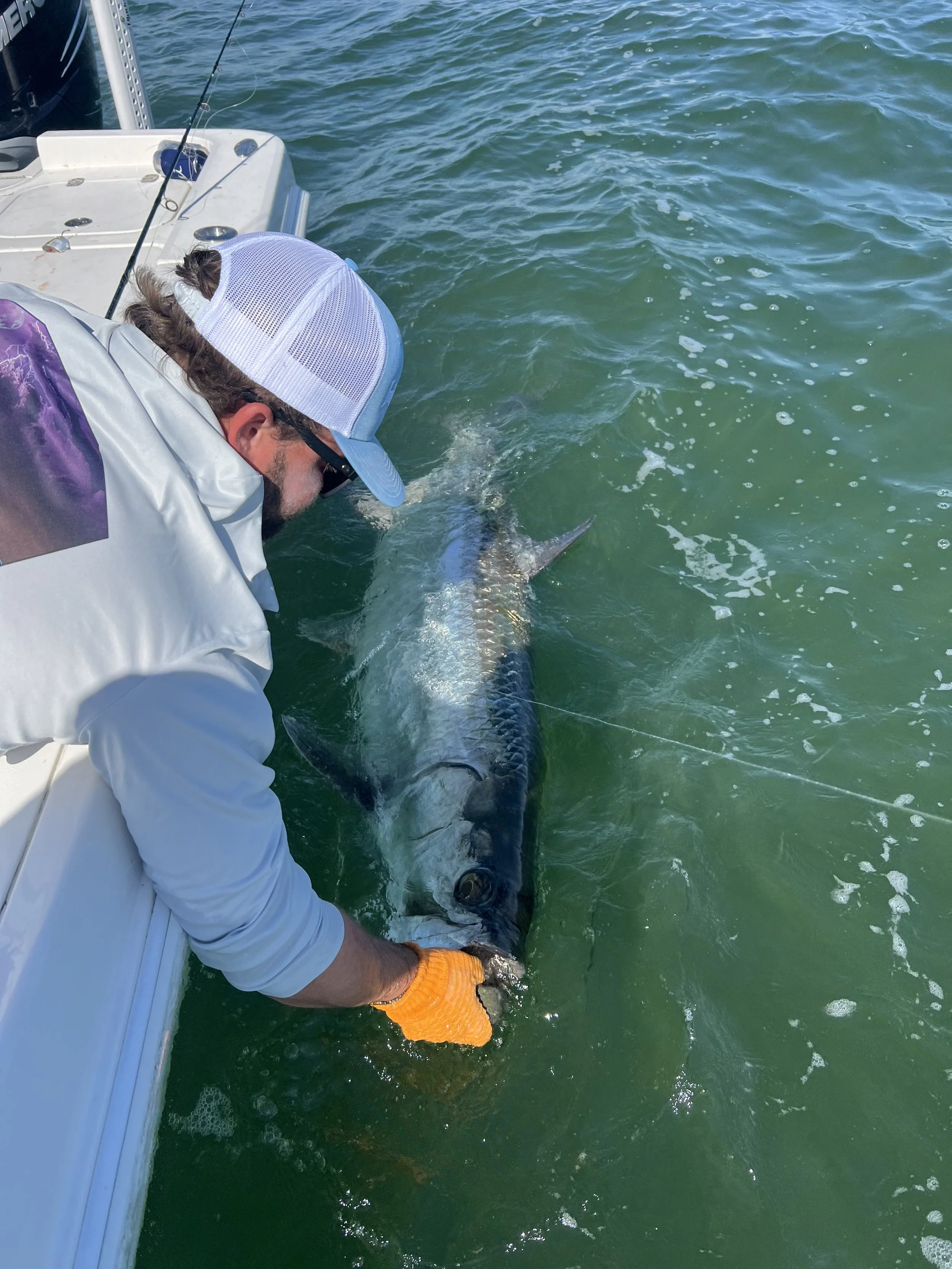 A man in a white jacket and orange gloves is leaning over the side of a boat, holding a large fish with grayish scales and an elongated body in the water.