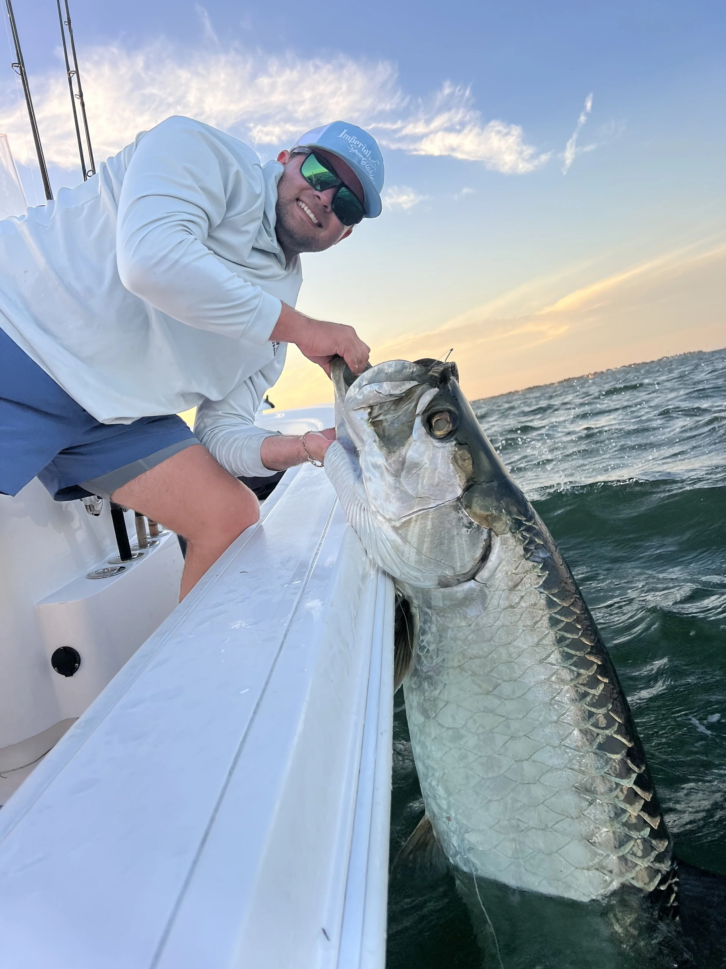 Man on a boat fishs in the ocean at sunset, holding a large fish.