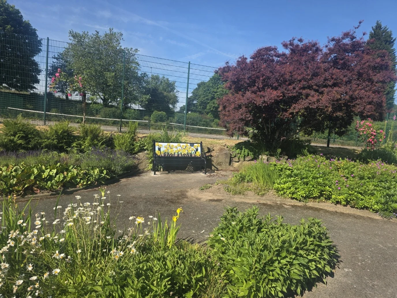 A garden with various flowering plants, a large purple-leafed tree, and a park bench with a daffodil design. There is a black metal fence and lush greenery in the background under a clear blue sky.
