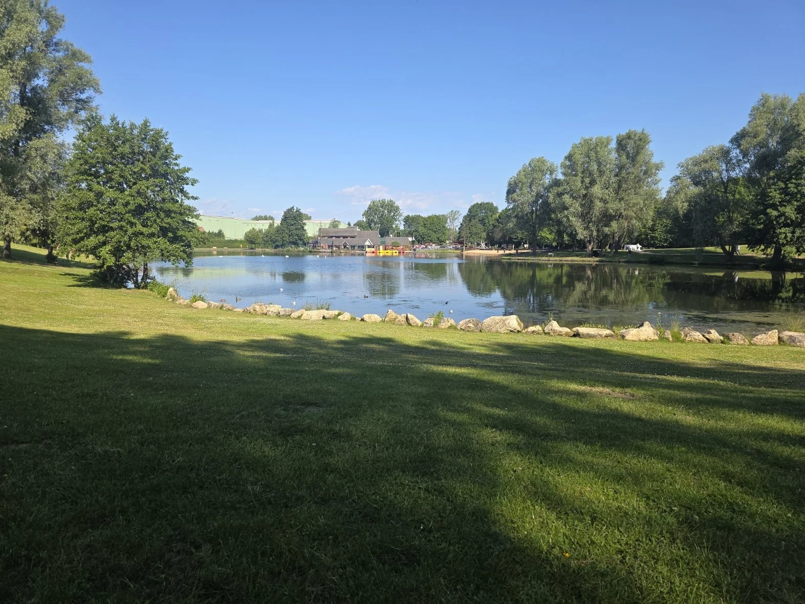 A peaceful lakeside park with green grass, trees, and a calm body of water under a clear blue sky.