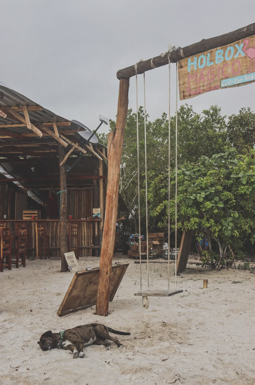 A wooden swing hanging from a wooden post in a sandy outdoor area with a dog lying on the ground nearby. A sign reads 'HOLBOX MAGICO Punta Coco Rest-Bar-Beat,' and there are trees and a rustic wooden building with chairs in the background.