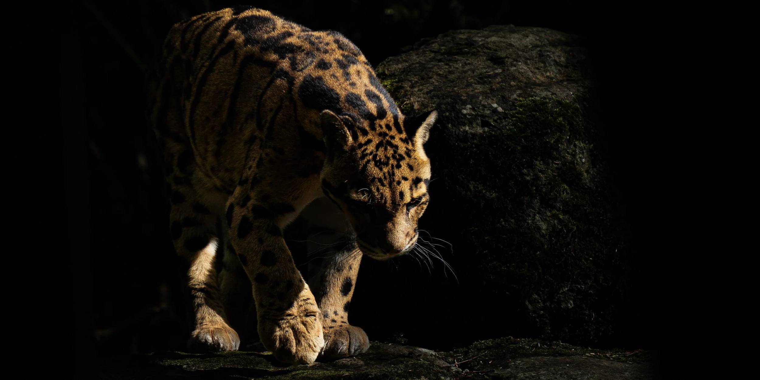 Cotswolds Wildlife Park-13.jpg