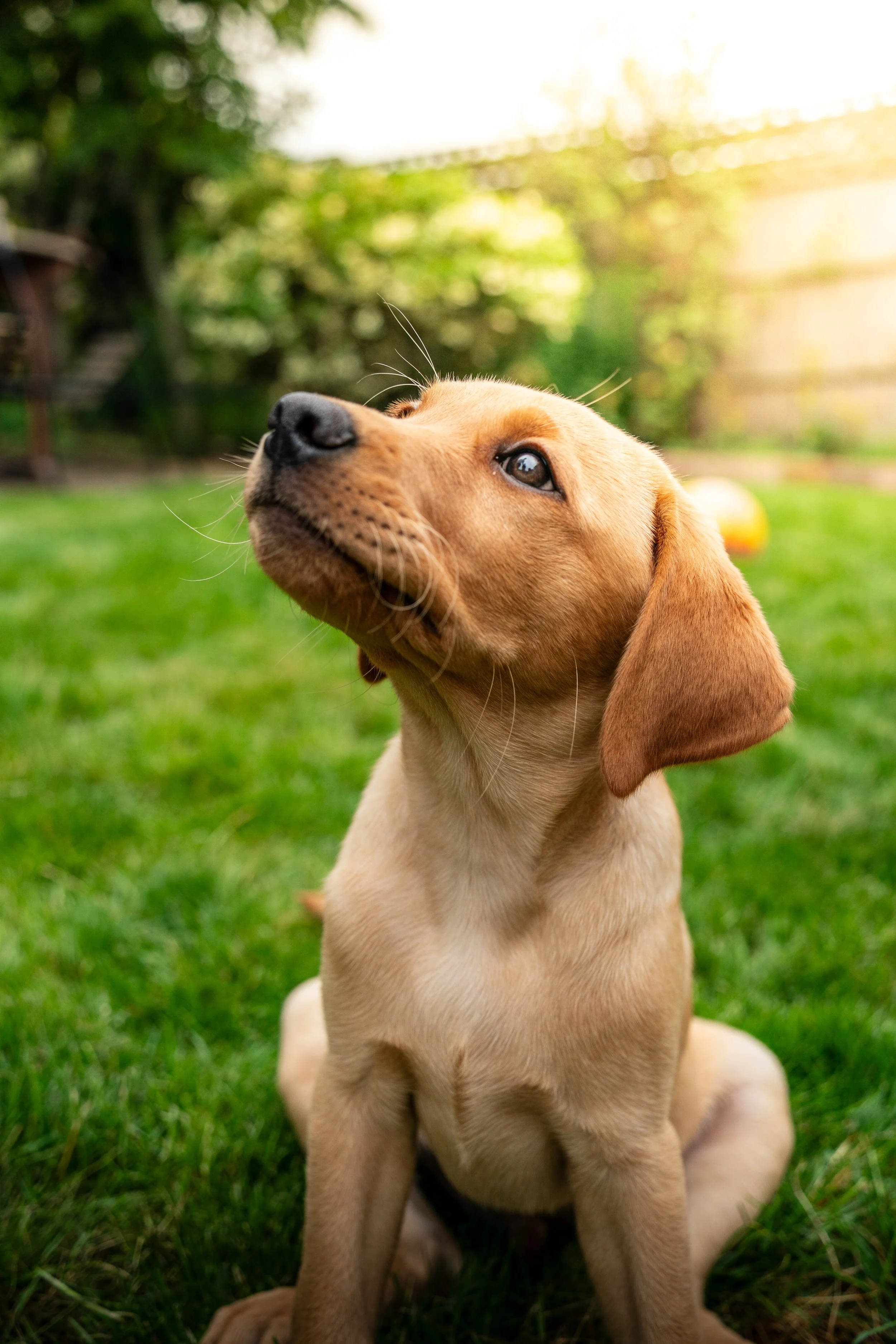 Arlo best-1.jpg