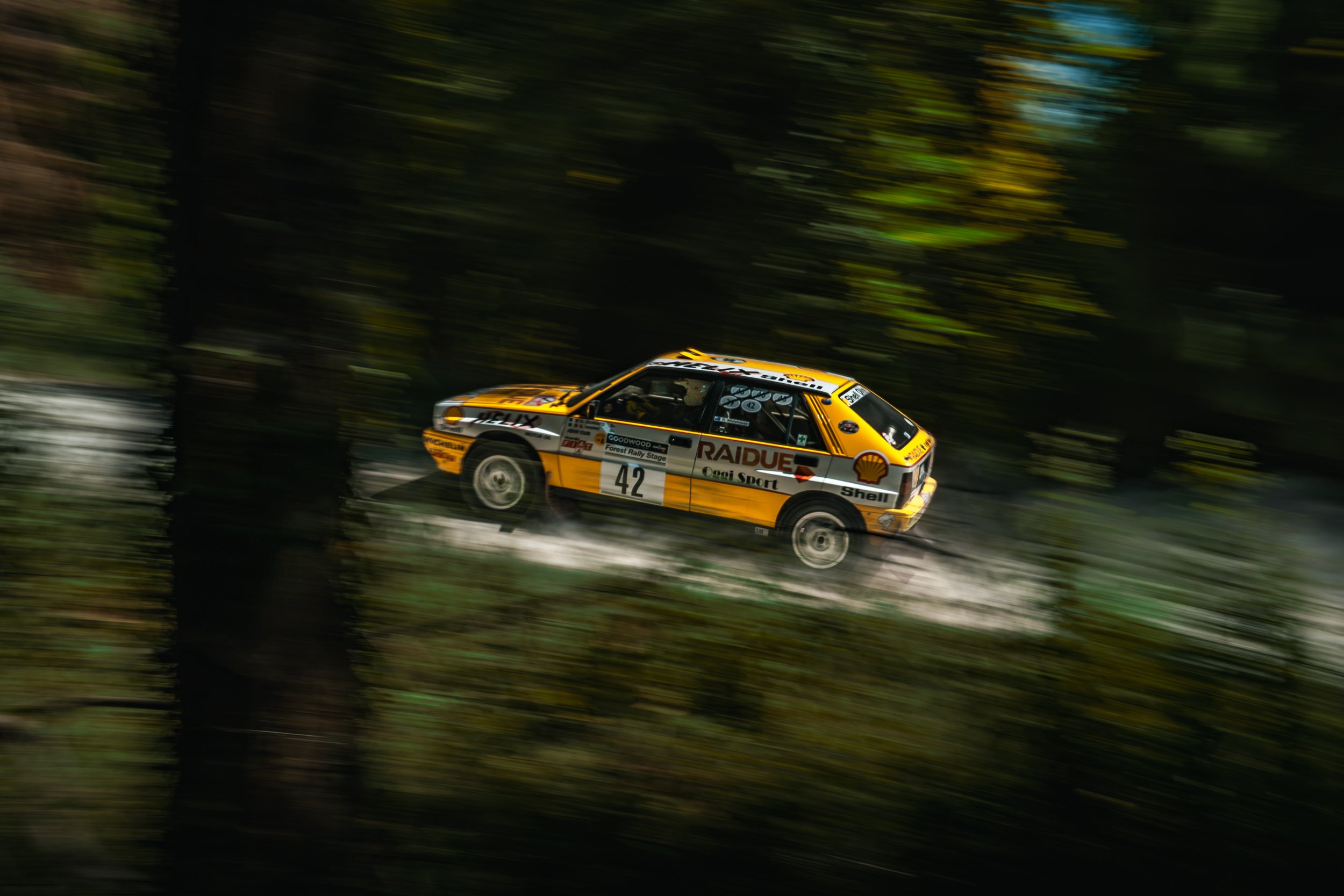 Goodwood-Forest-Rally-30.jpg