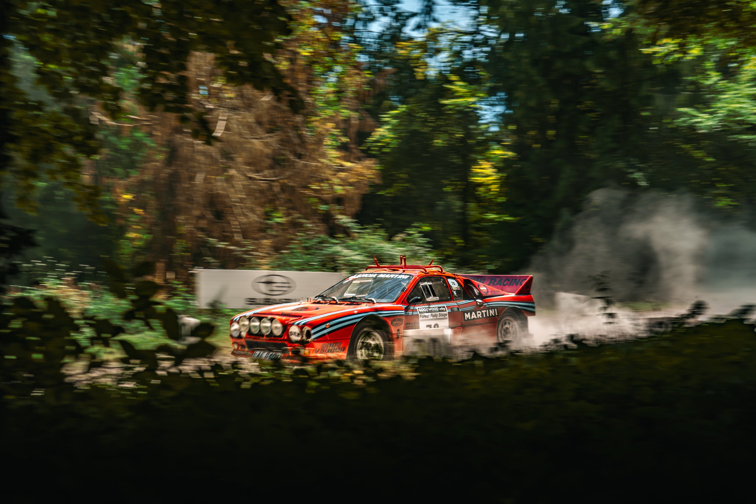 Goodwood-Forest-Rally-24.jpg