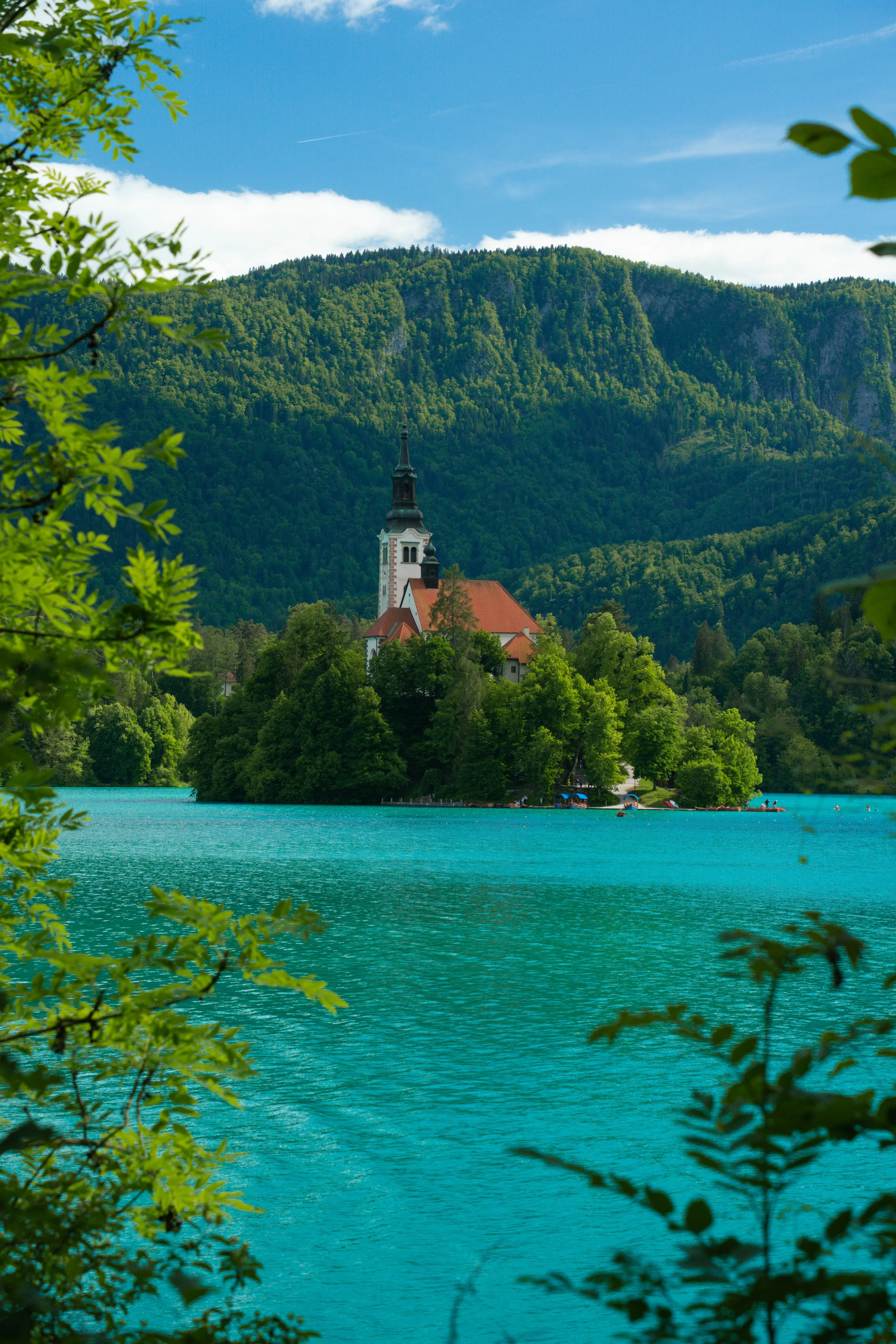 bled-4.jpg