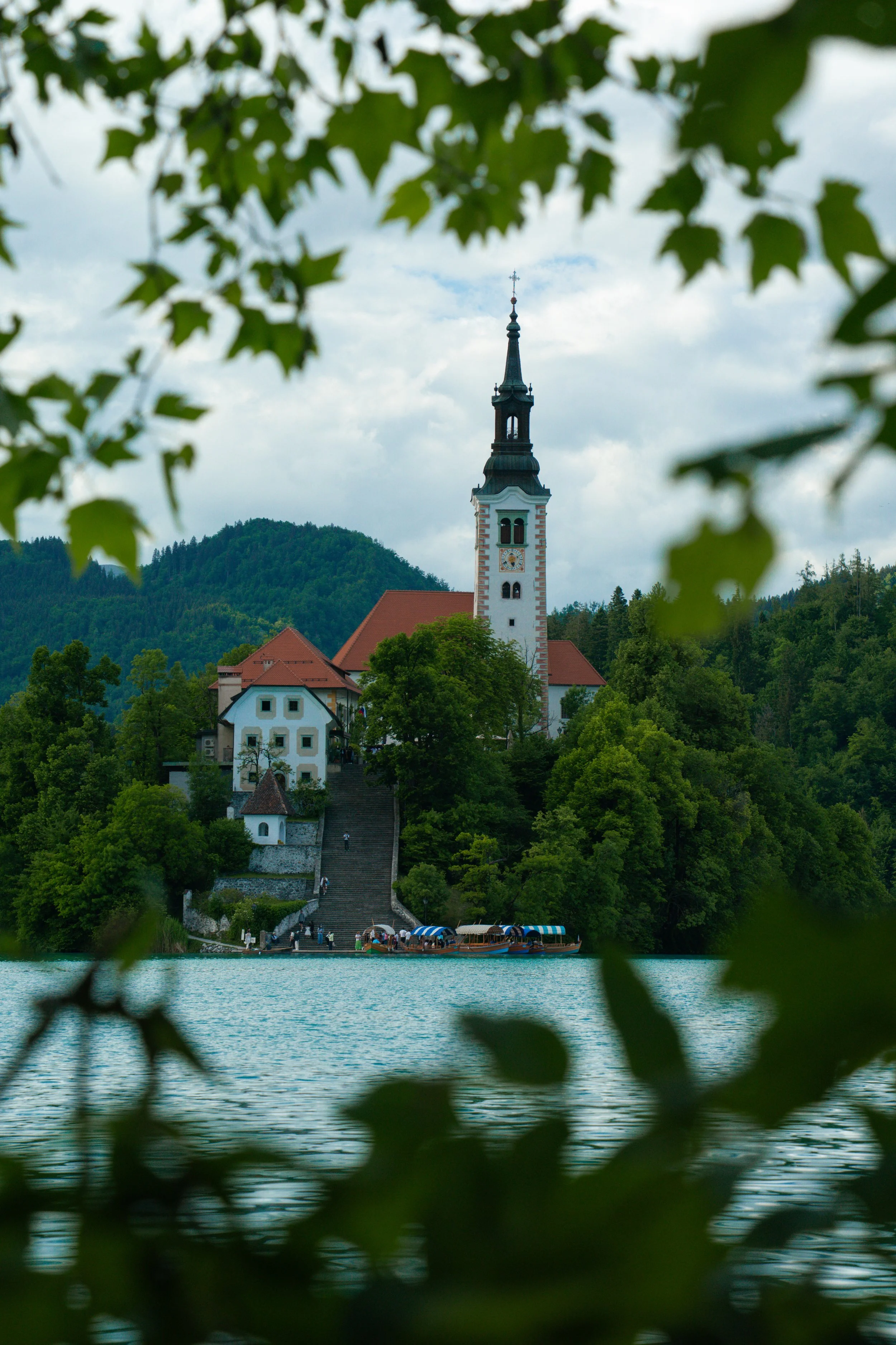 bled-3.jpg