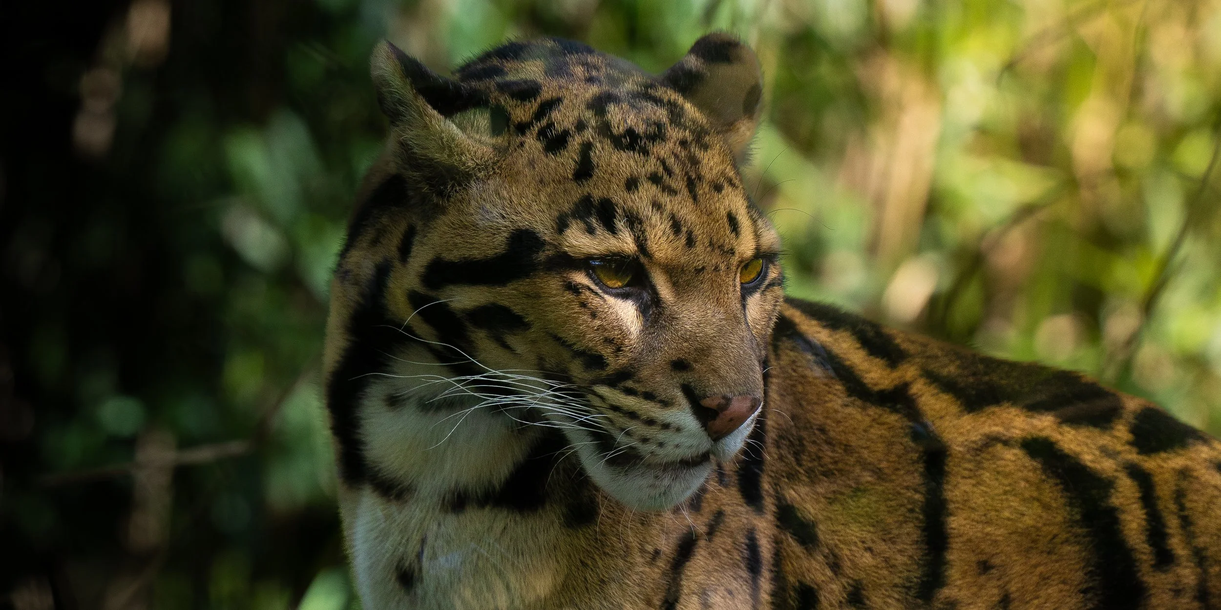Cotswolds Wildlife Park-14.jpg