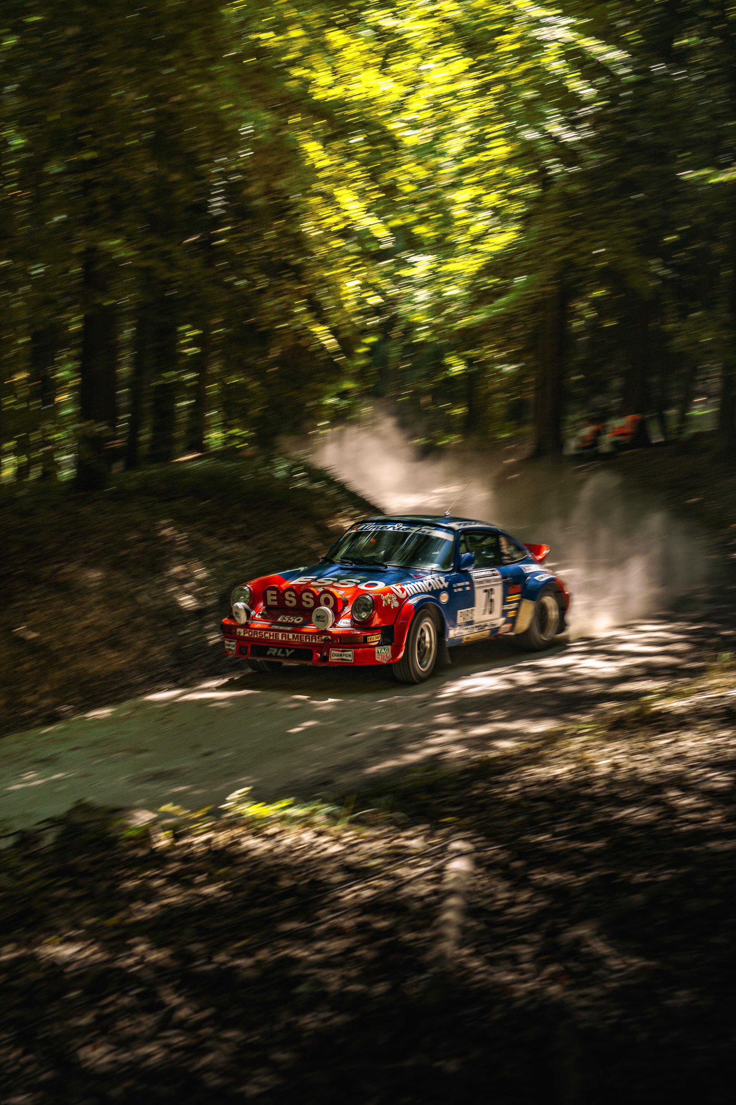 Goodwood-Forest-Rally-10.jpg