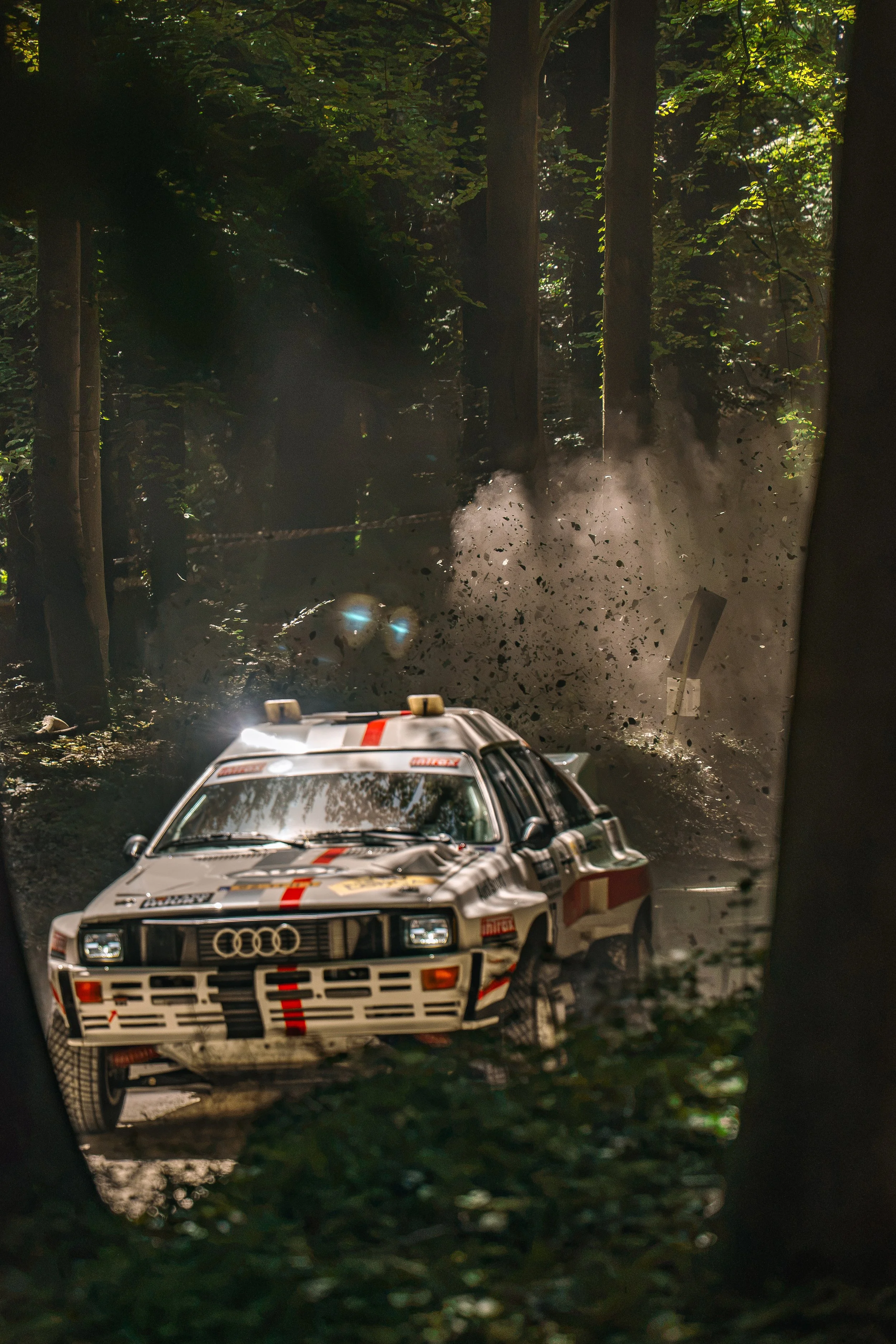 Goodwood-Forest-Rally-3.jpg