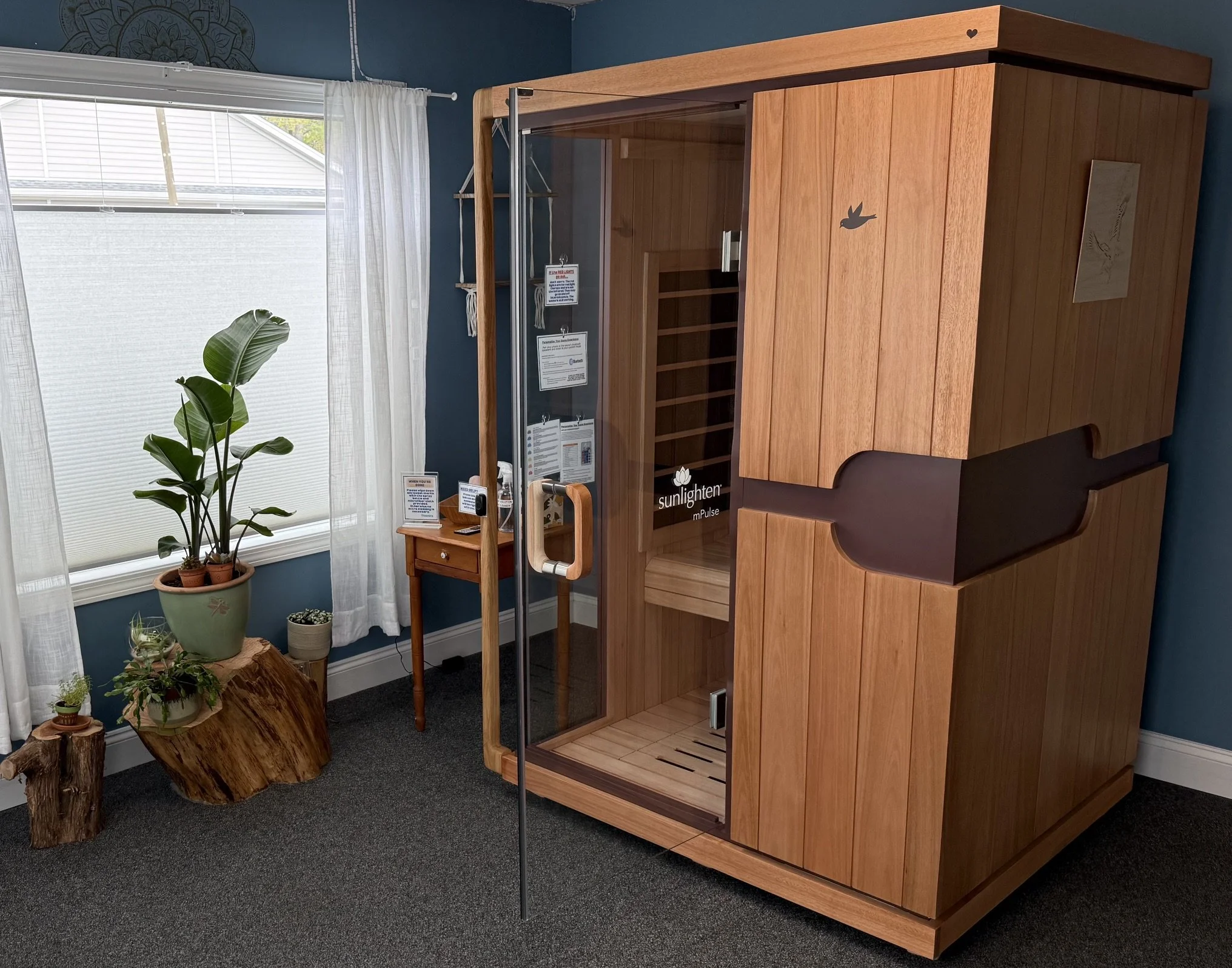 A wooden sauna cabinet with a glass door in a room with blue walls and white curtains. There are potted plants and tree trunk side tables nearby.