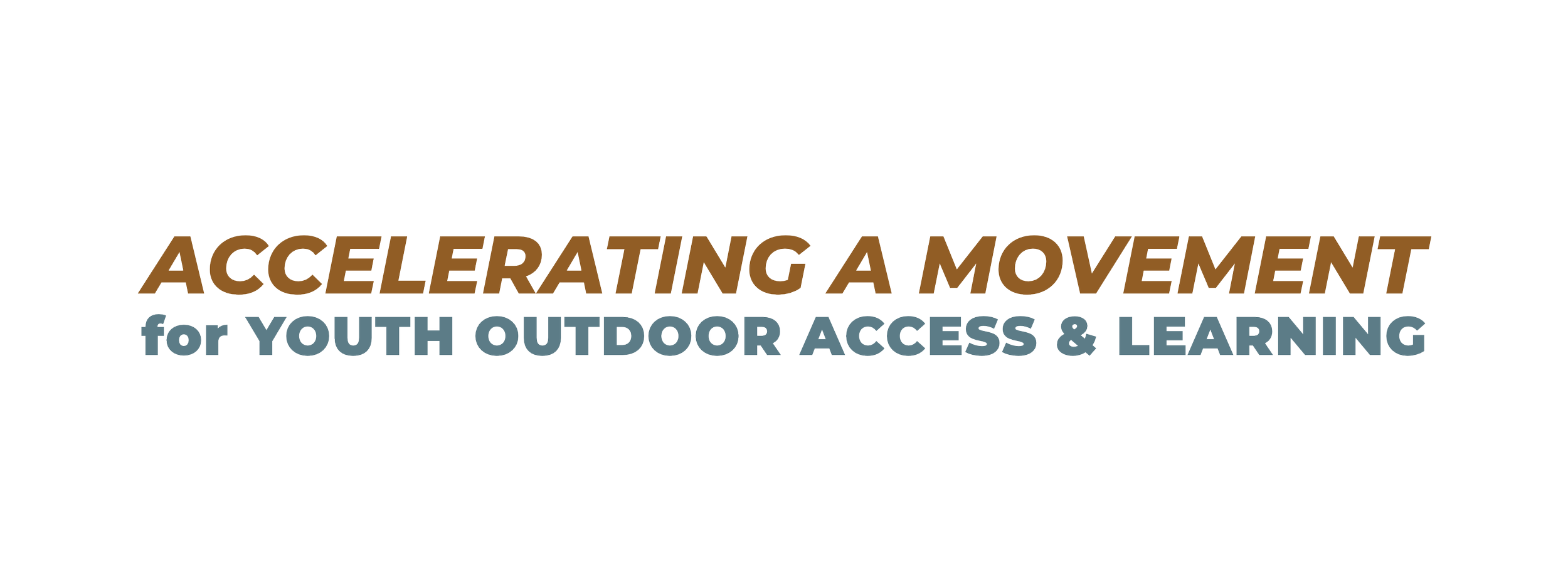 Logo with text reading 'Accelerating a Movement for Youth Outdoor Access & Learning' in brown and blue fonts.