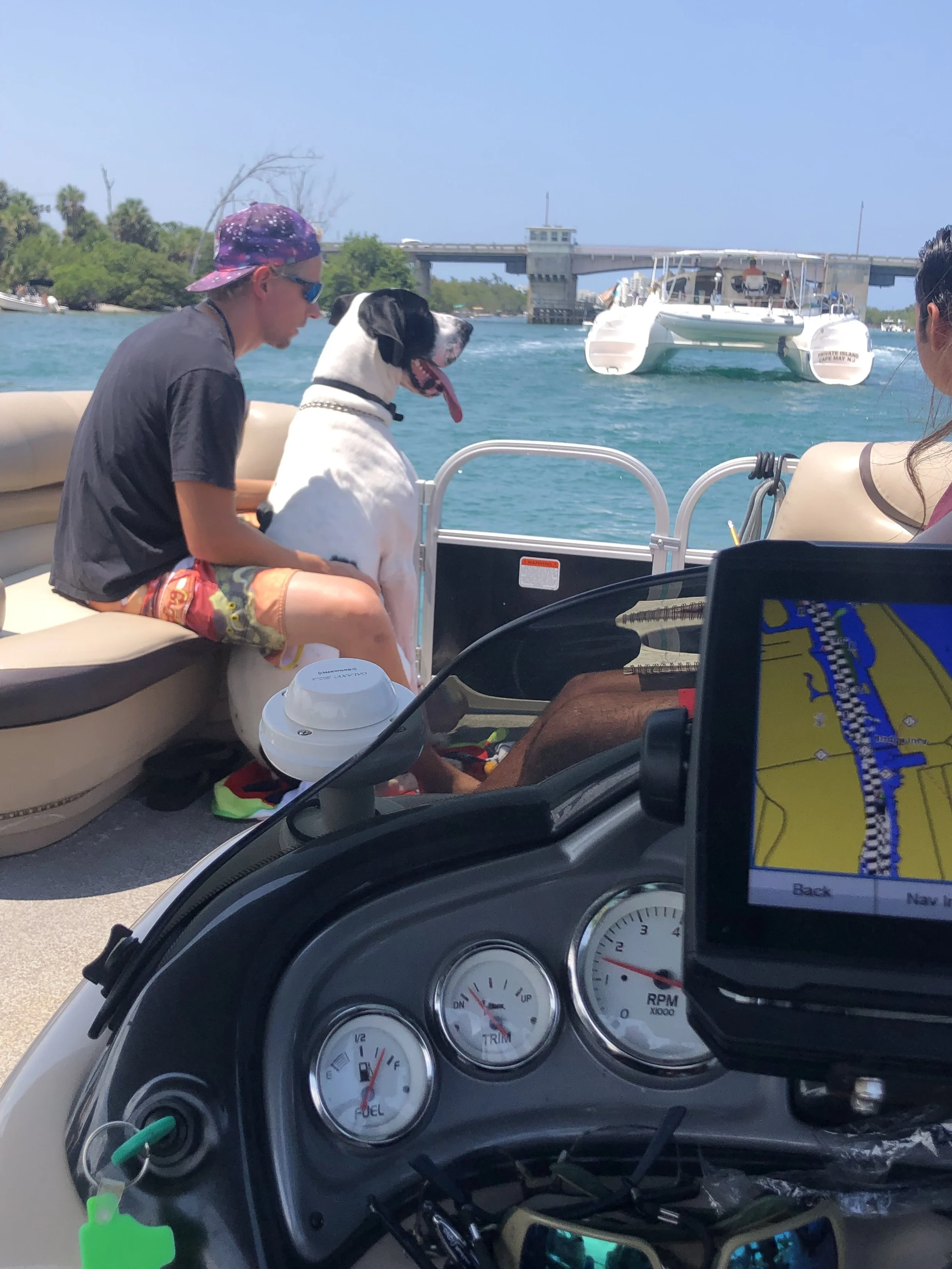 People on a boat with a large dog, a bridge in the background, and water around them, with a GPS device displaying a map in the foreground.