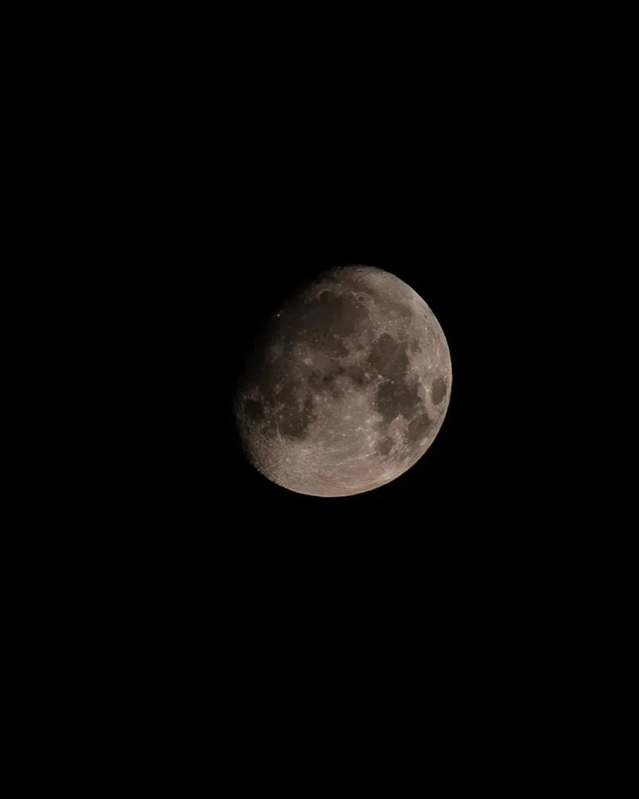 DSC04850.jpg