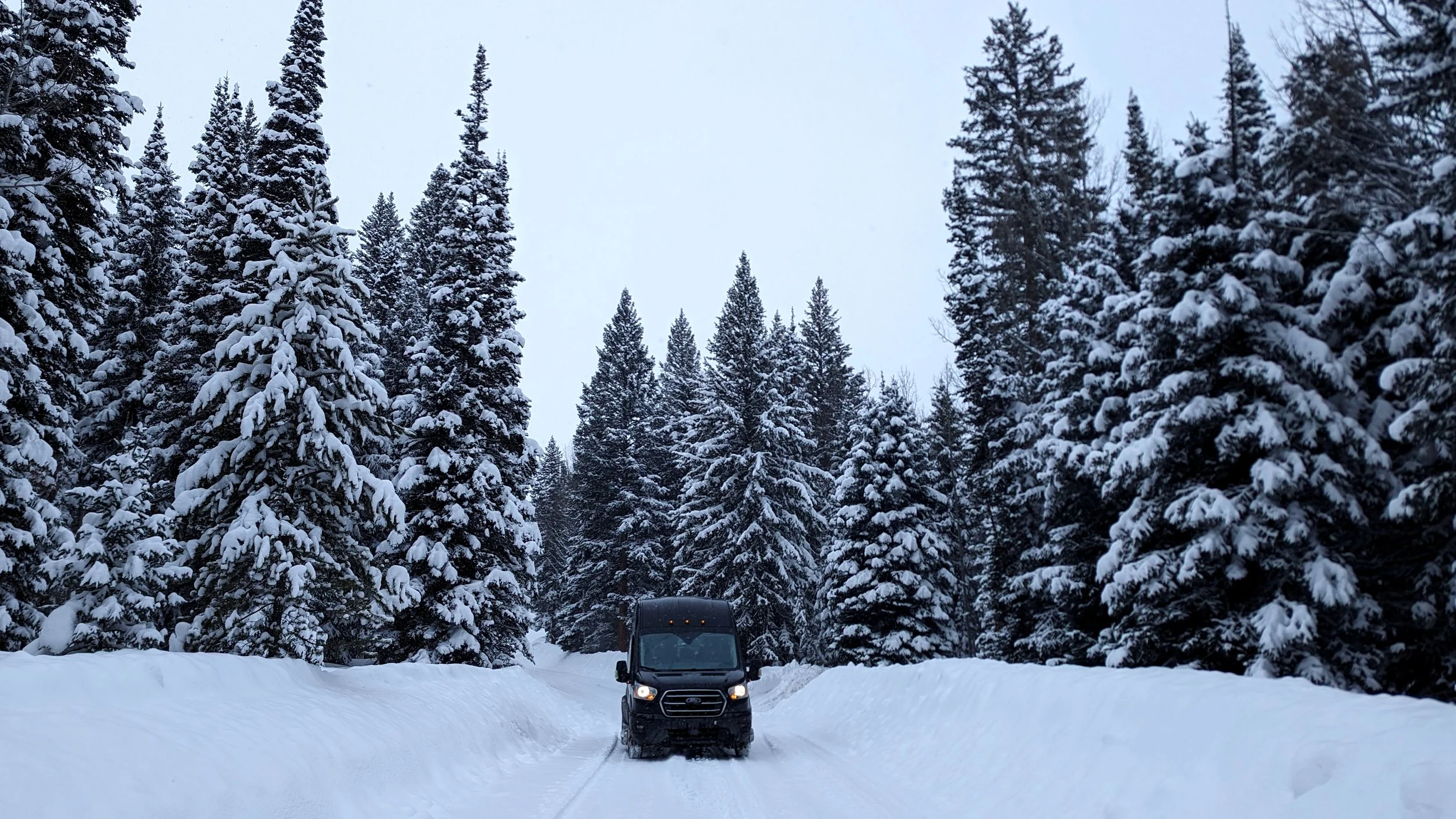 A black van driving through a snowy forest with tall snow-covered evergreen trees on both sides.
