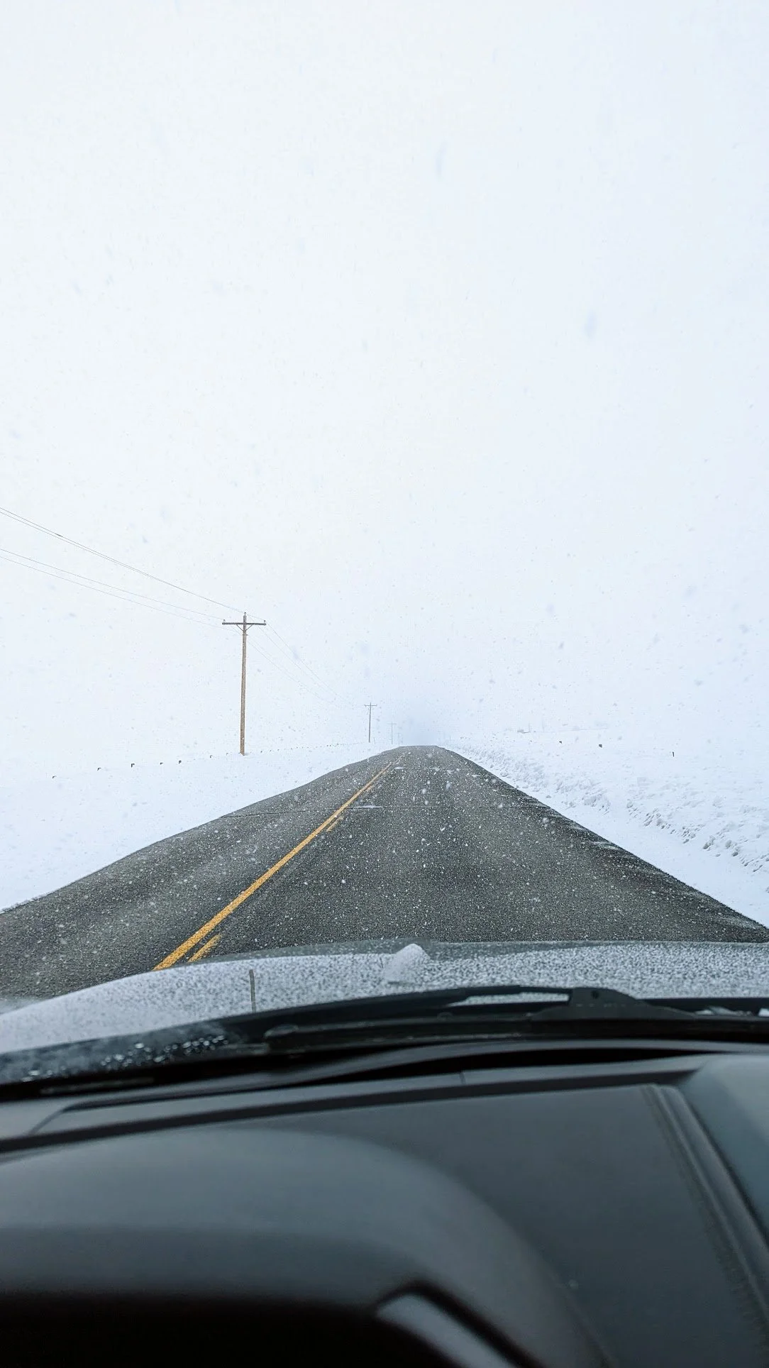 A snowy, foggy road with snow falling, viewed from inside a vehicle, with utility poles along the roadside. Cinematic Rides with Longmont Rides.