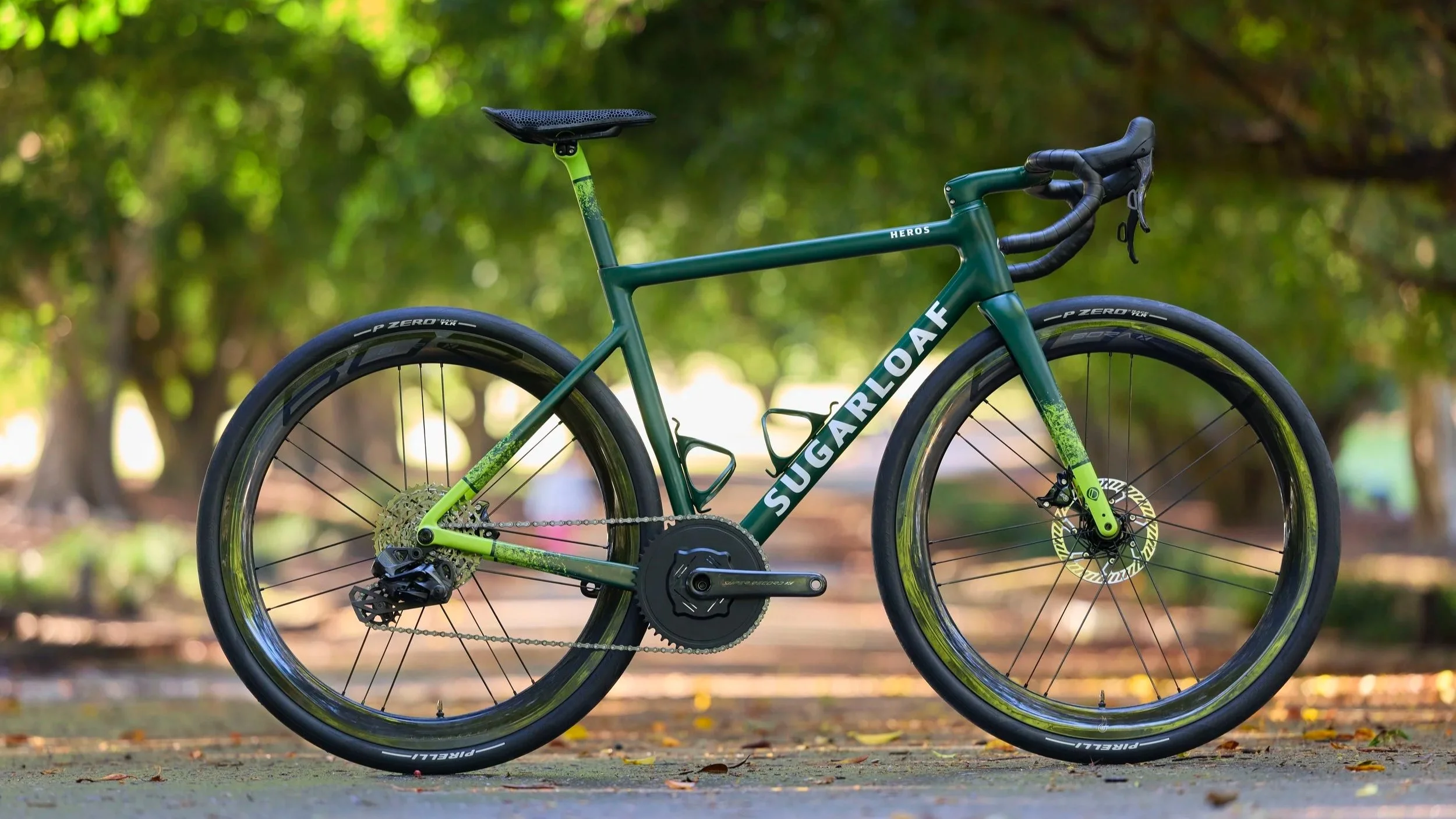bicycle side on outdoors on tarmac with leaves on the ground  and trees out of focus in the background