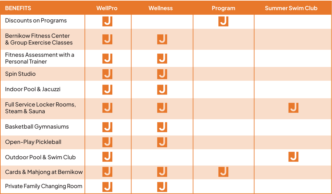 A table displaying various benefits and programs at a fitness center, with checkmarks indicating availability under WellPro, Wellness, Program, and Summer Swim Club categories.