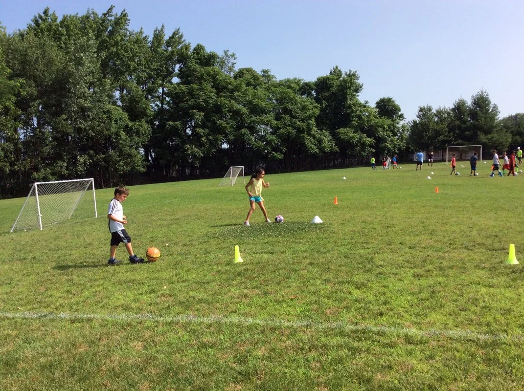 Children practicing soccer drills with cones on a grassy field, small goals in the background, trees lining the field, sunny weather.
