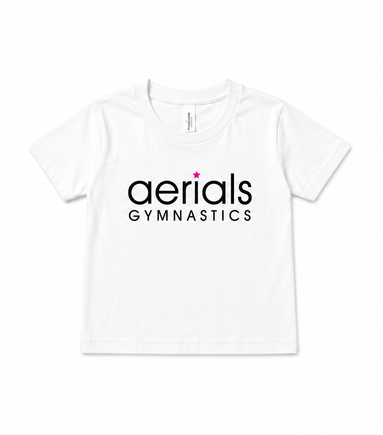 aerials gym youth tee